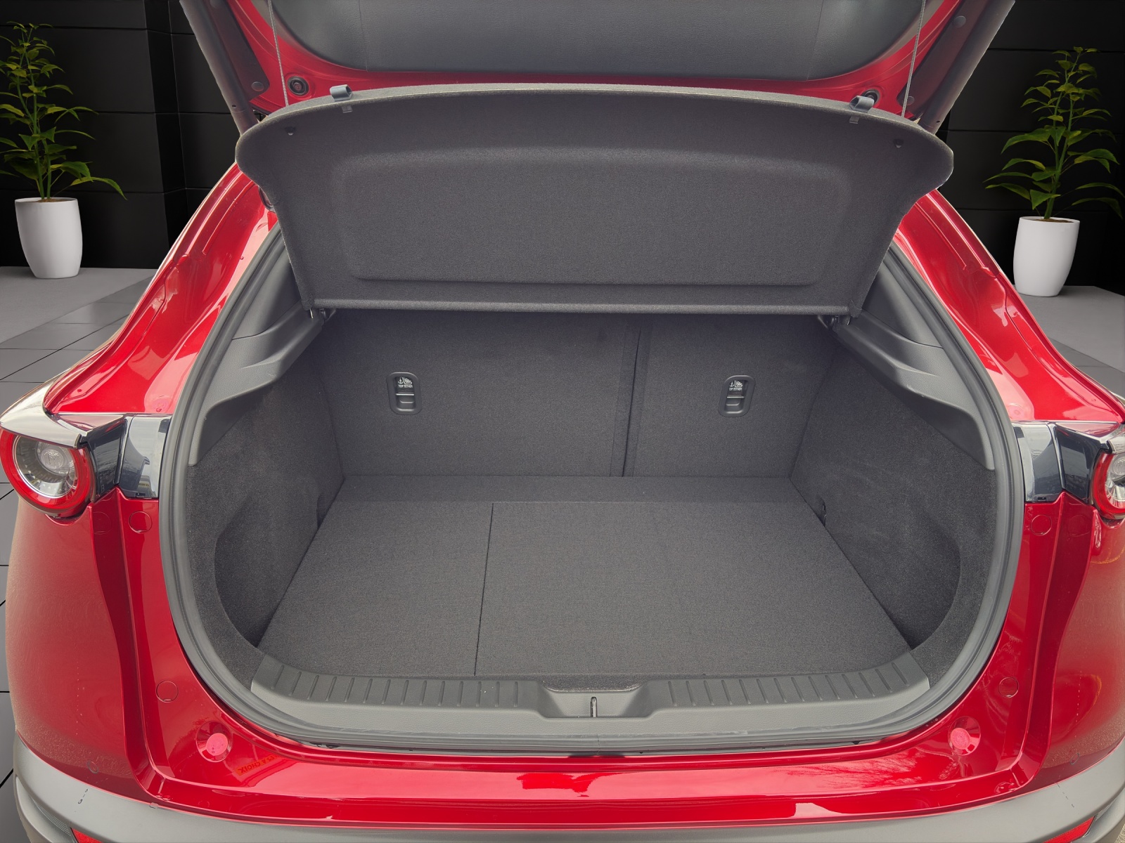 Image MAZDA CX-30 CX-30 SKYACTIV-G 140 M Hybrid Exclusive Line FWD AT