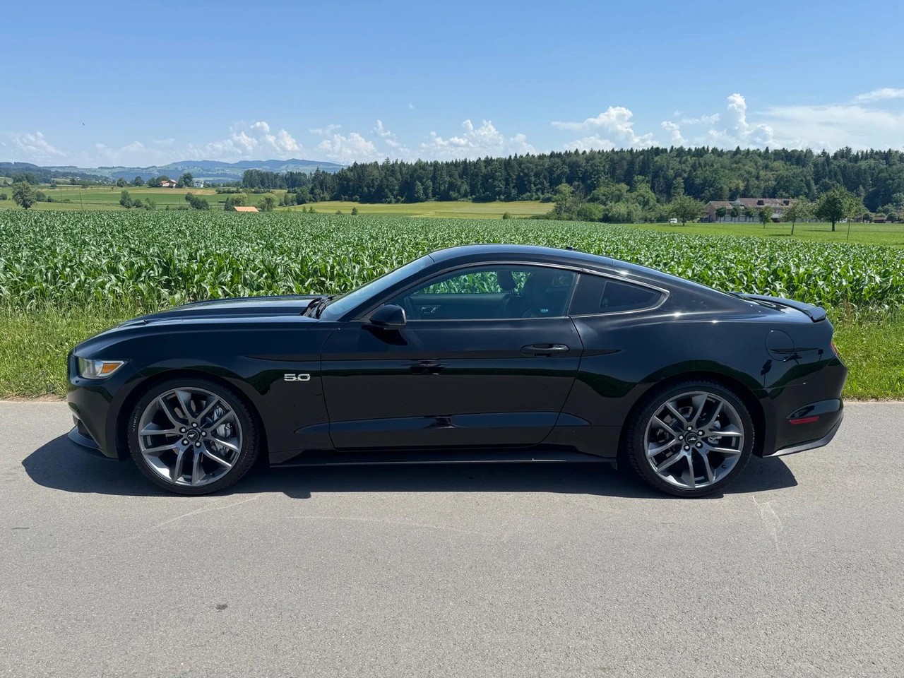 FORD Mustang Fastback 5.0 V8 GT Automat-image-2