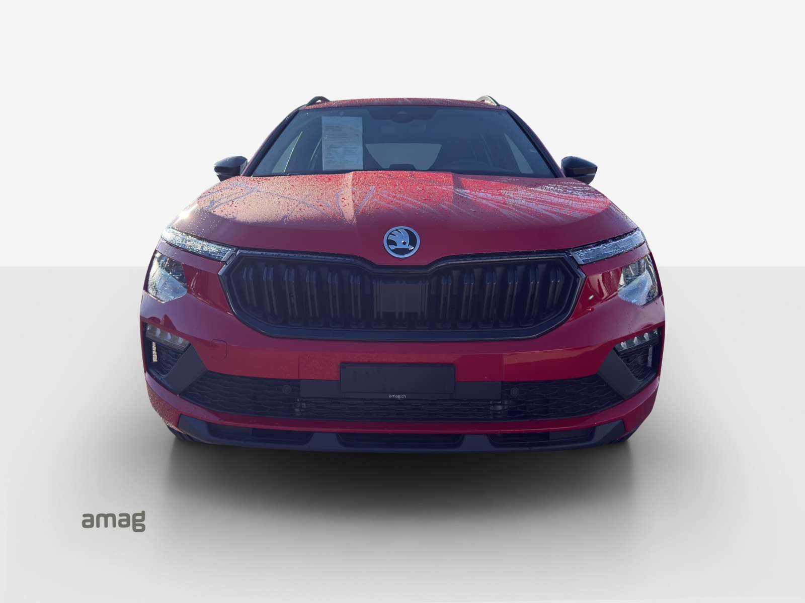 SKODA Kamiq 1.5 TSI Dynamic DSG-image-6