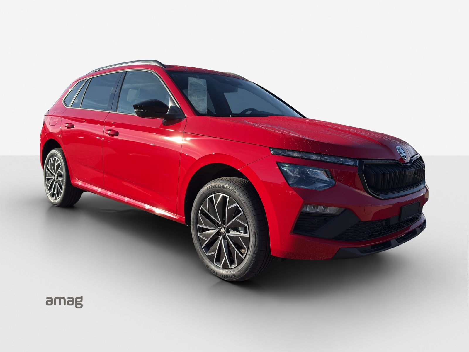 SKODA Kamiq 1.5 TSI Dynamic DSG-image-5
