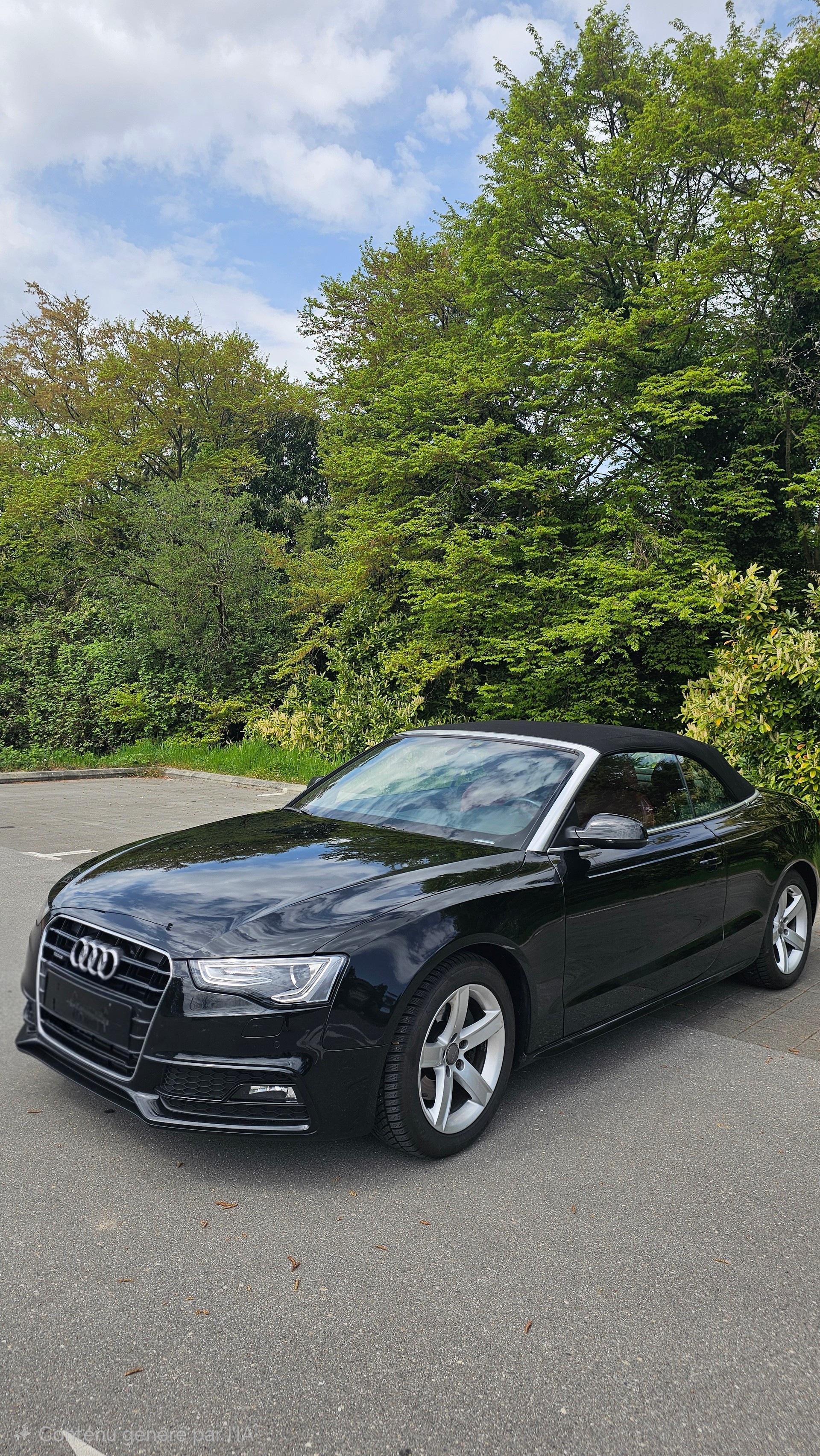 AUDI A5 Cabriolet 2.0 TFSI multitronic Quattro-image-14