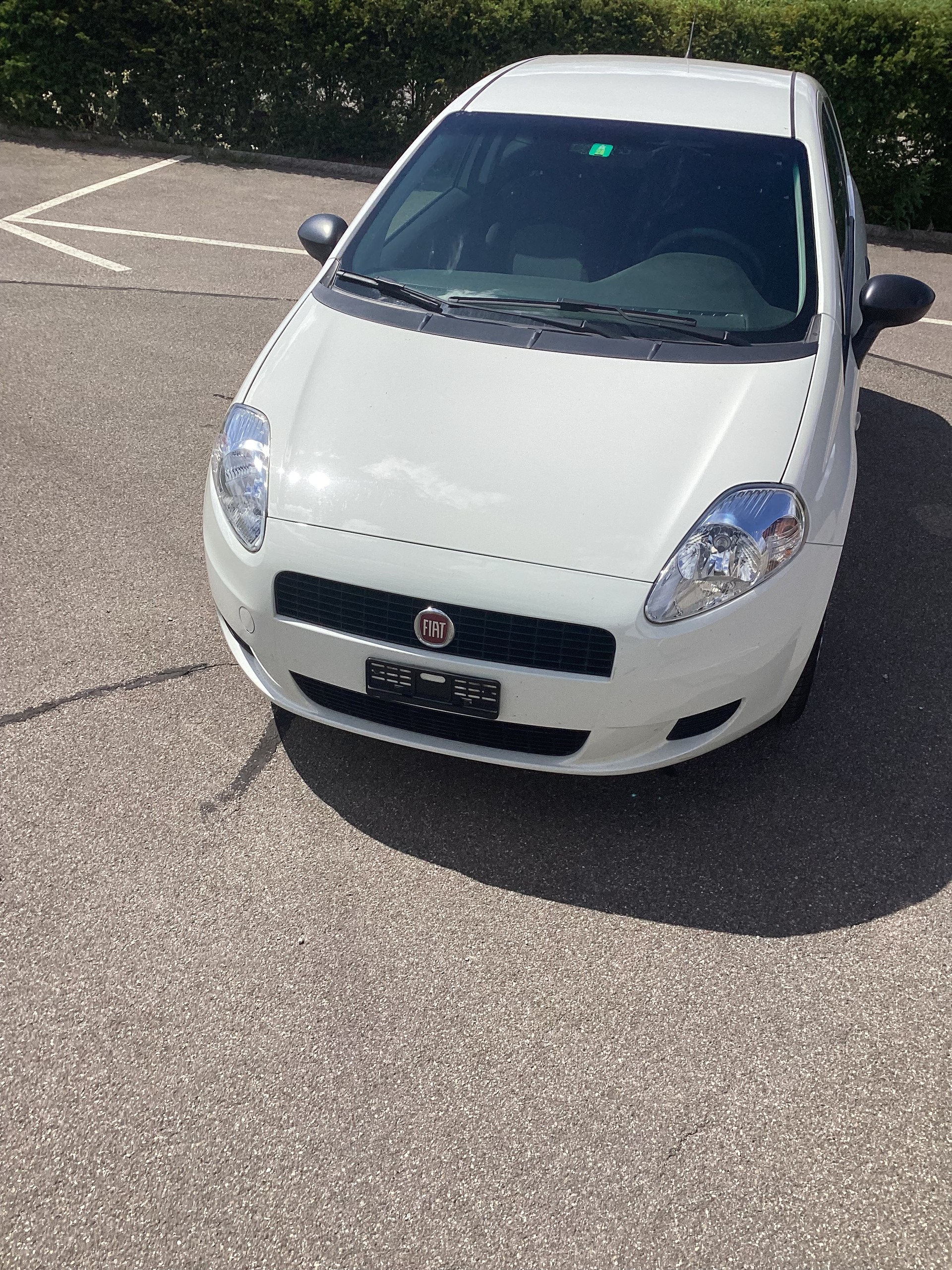 FIAT PUNTO-image-1