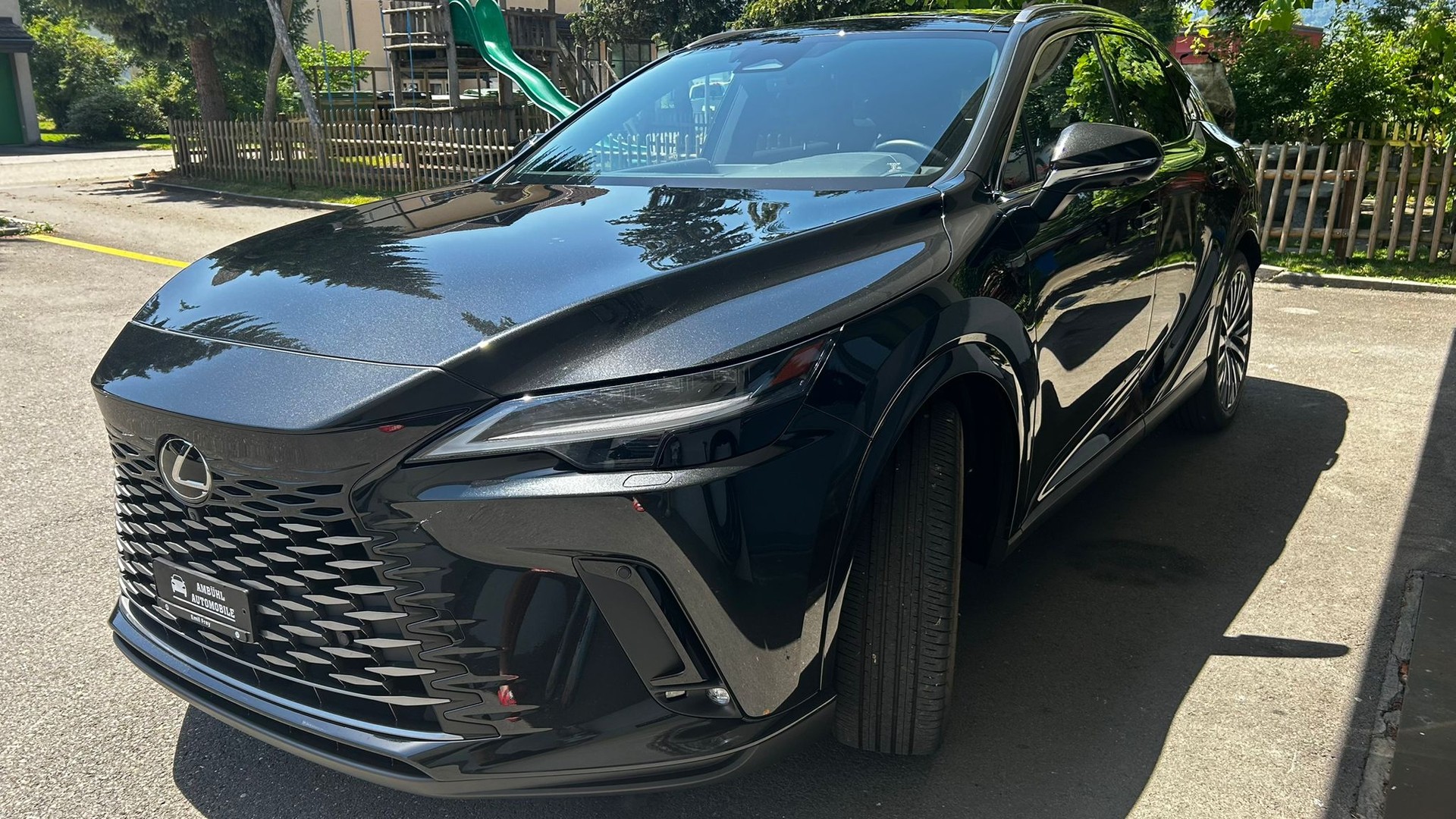 LEXUS RX 450h+ Ecxellence AWD CVT-image-5