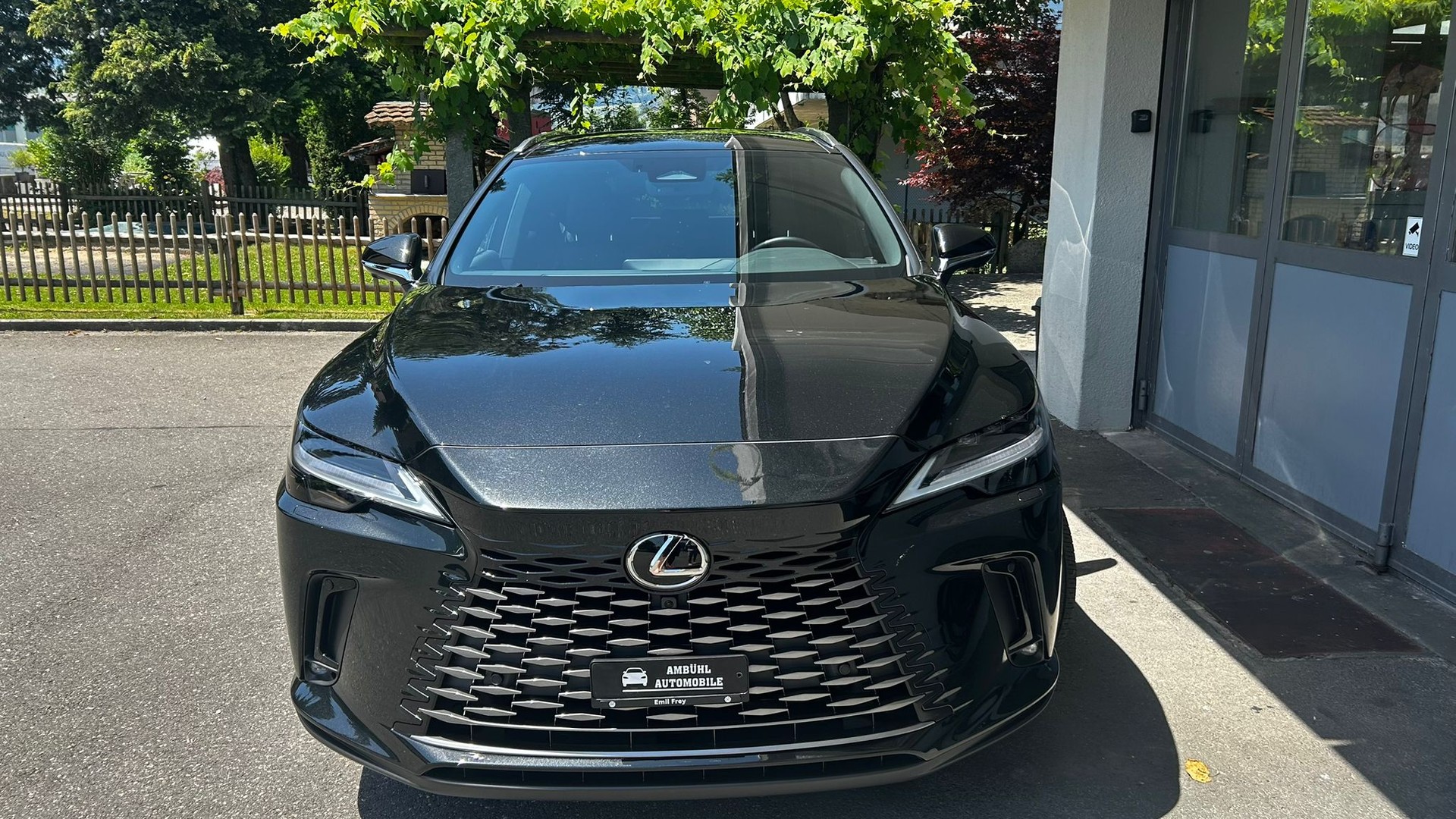 LEXUS RX 450h+ Ecxellence AWD CVT-image-6