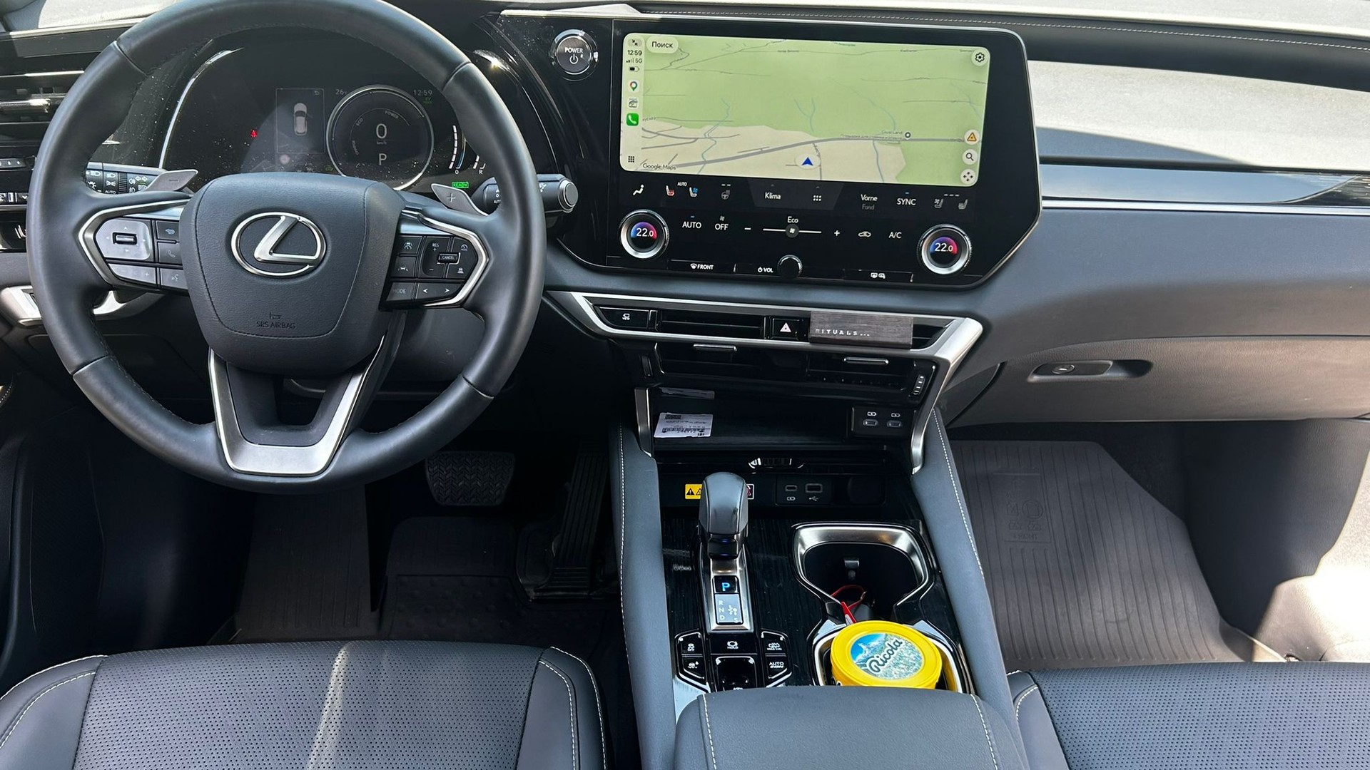 LEXUS RX 450h+ Ecxellence AWD CVT-image-8