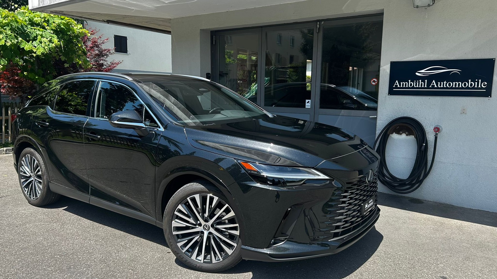 LEXUS RX 450h+ Ecxellence AWD CVT-image-0