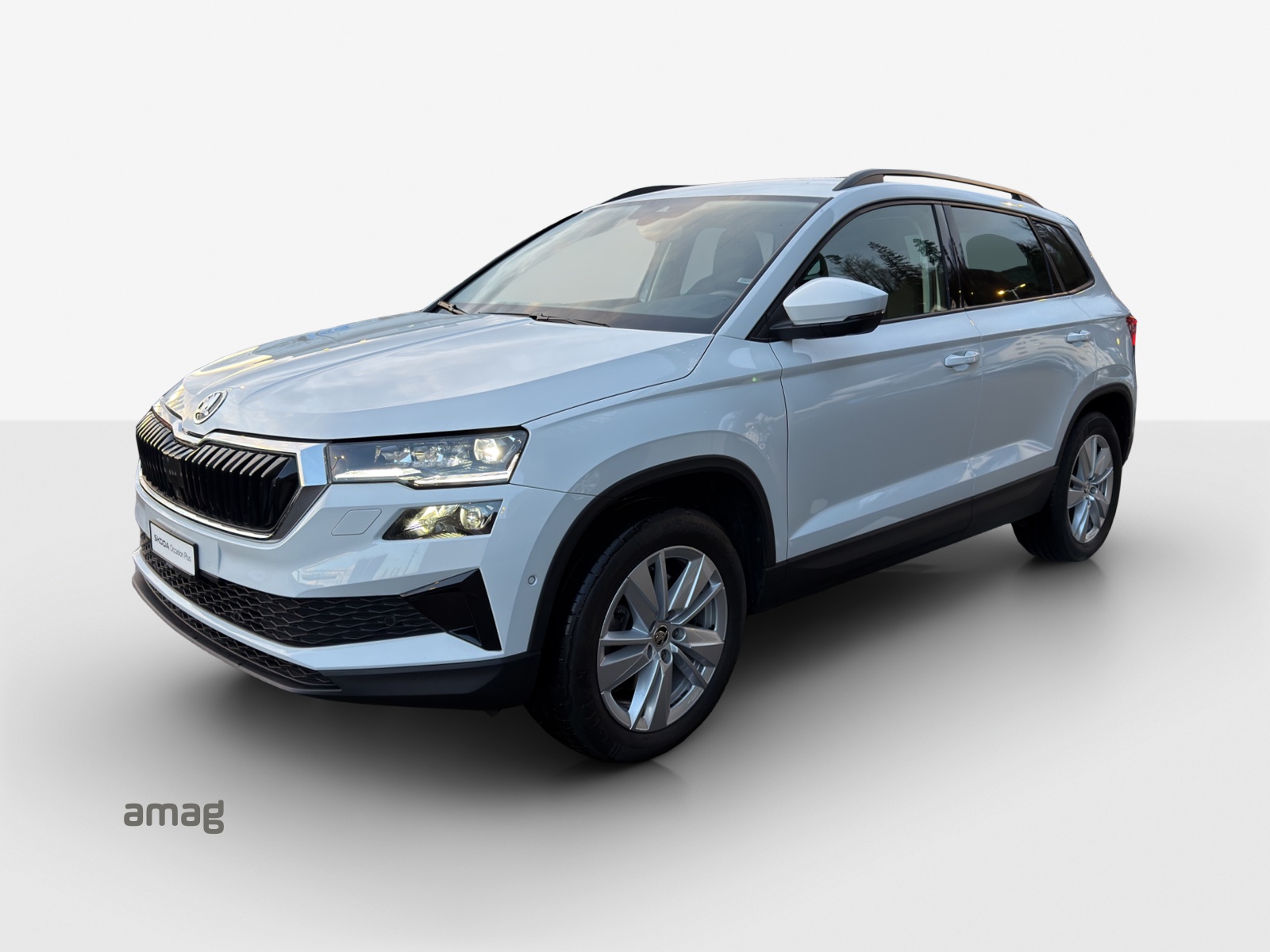 SKODA Karoq 2.0 TDI CR Selection 4x4 DSG-image-0