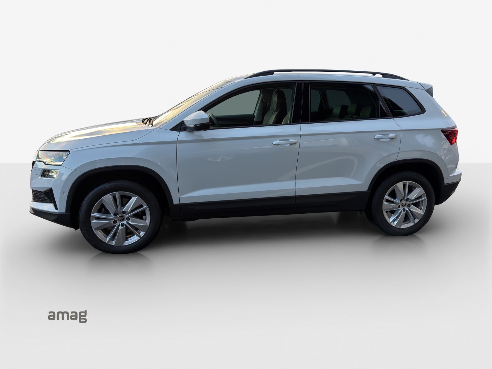 SKODA Karoq 2.0 TDI CR Selection 4x4 DSG-image-1