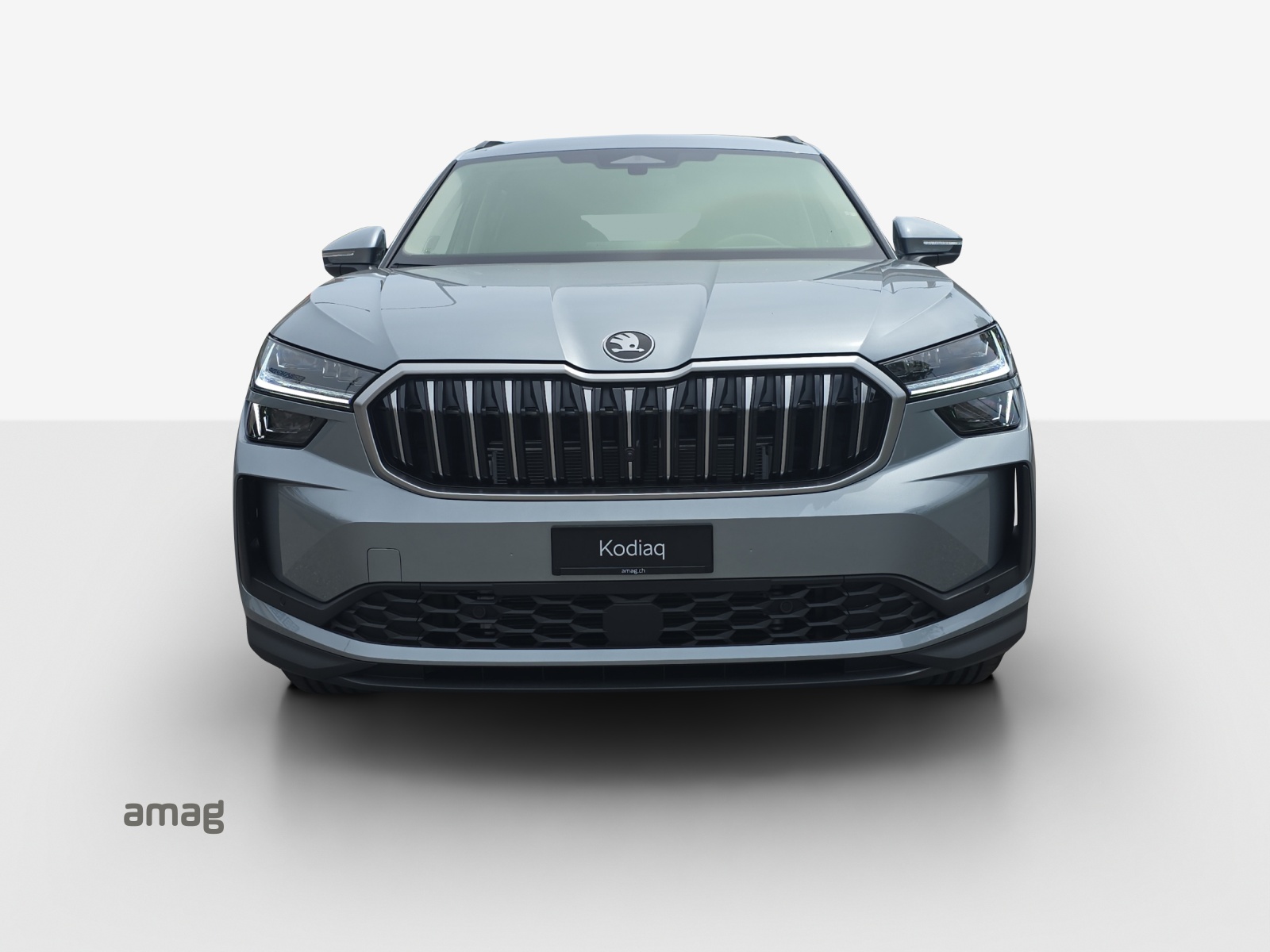 SKODA Kodiaq 2.0 TSI Dynamic 4x4-image-6