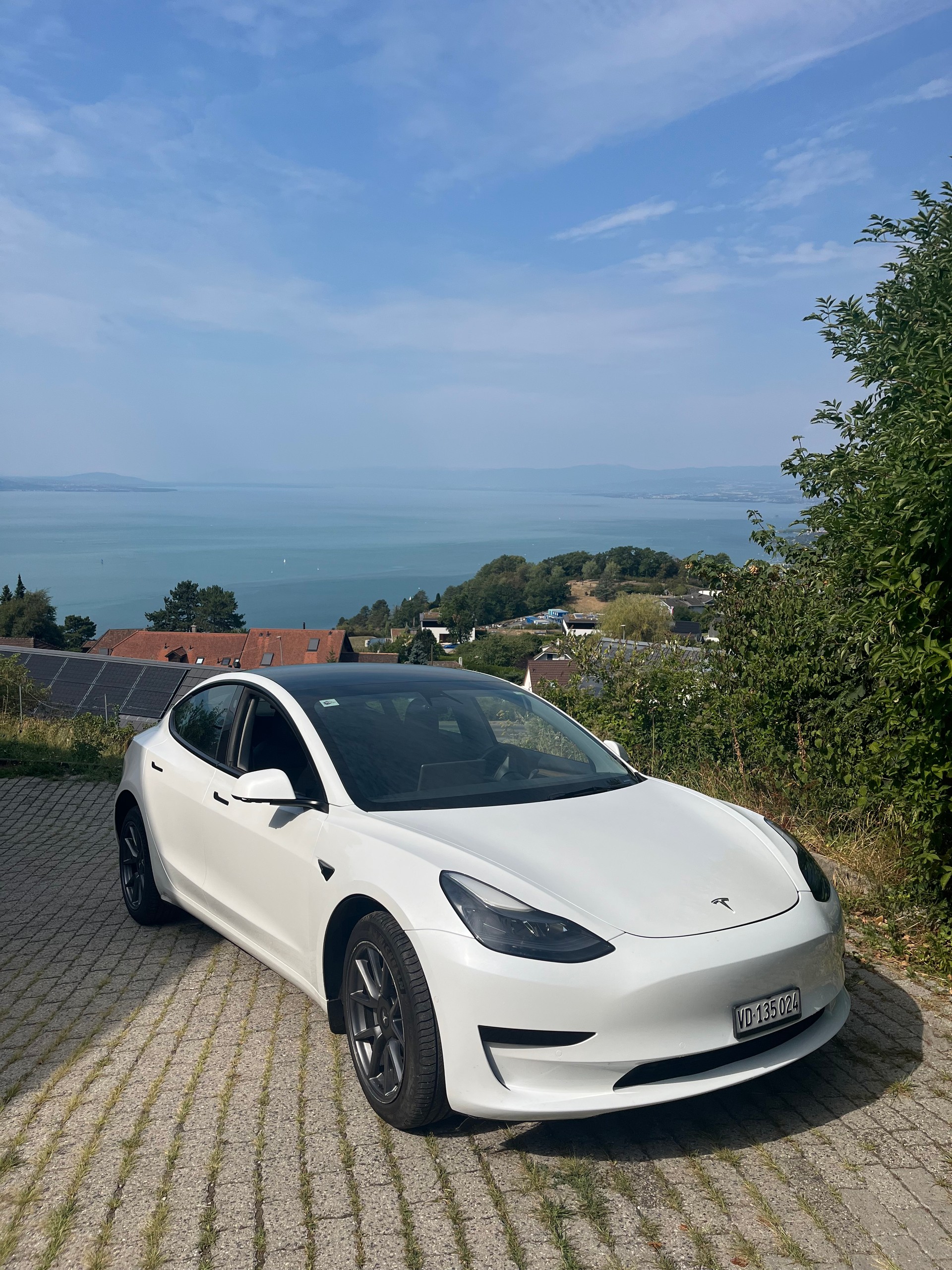 TESLA Standart Range Plus-image-0