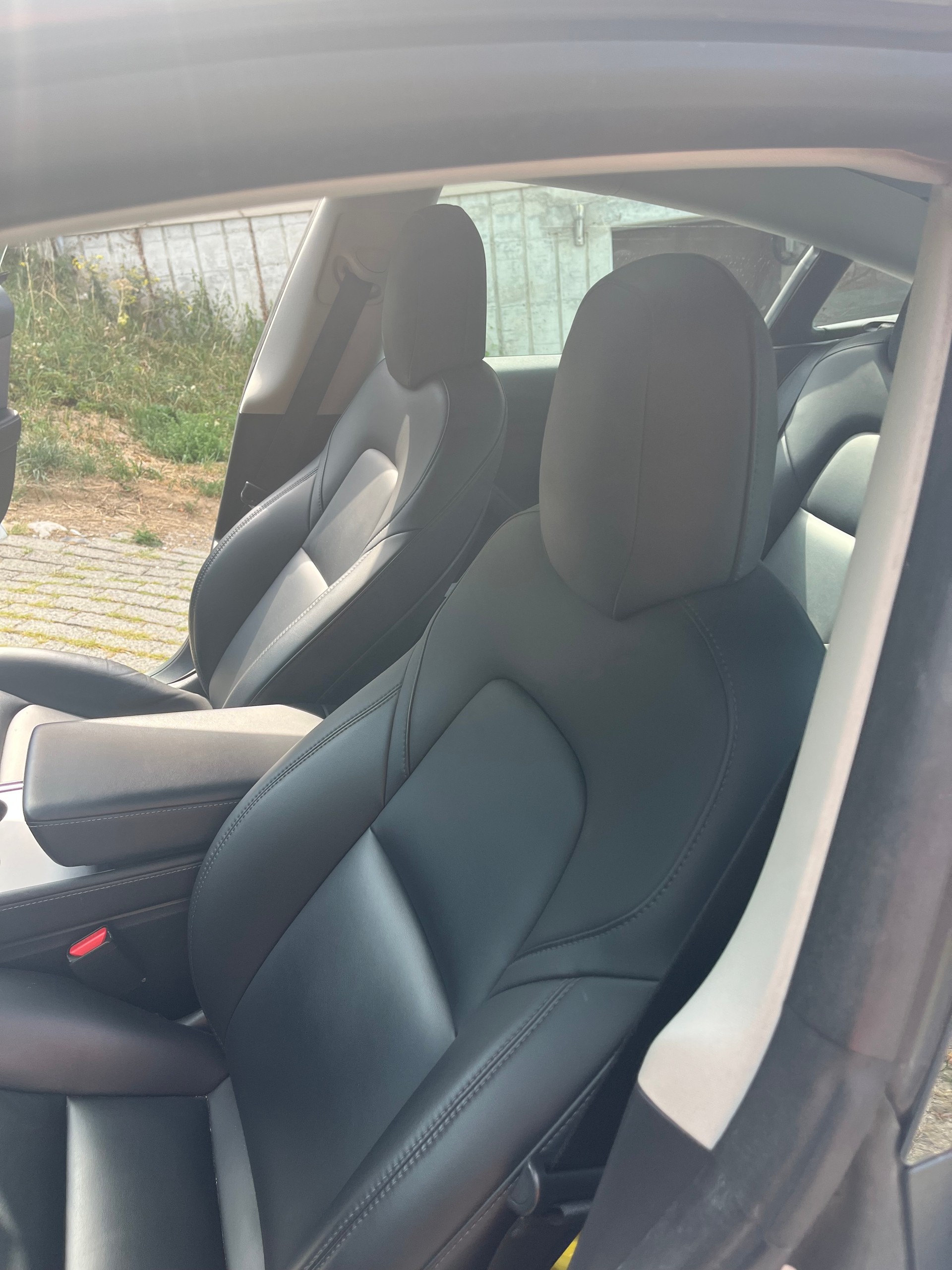TESLA Standart Range Plus-image-3