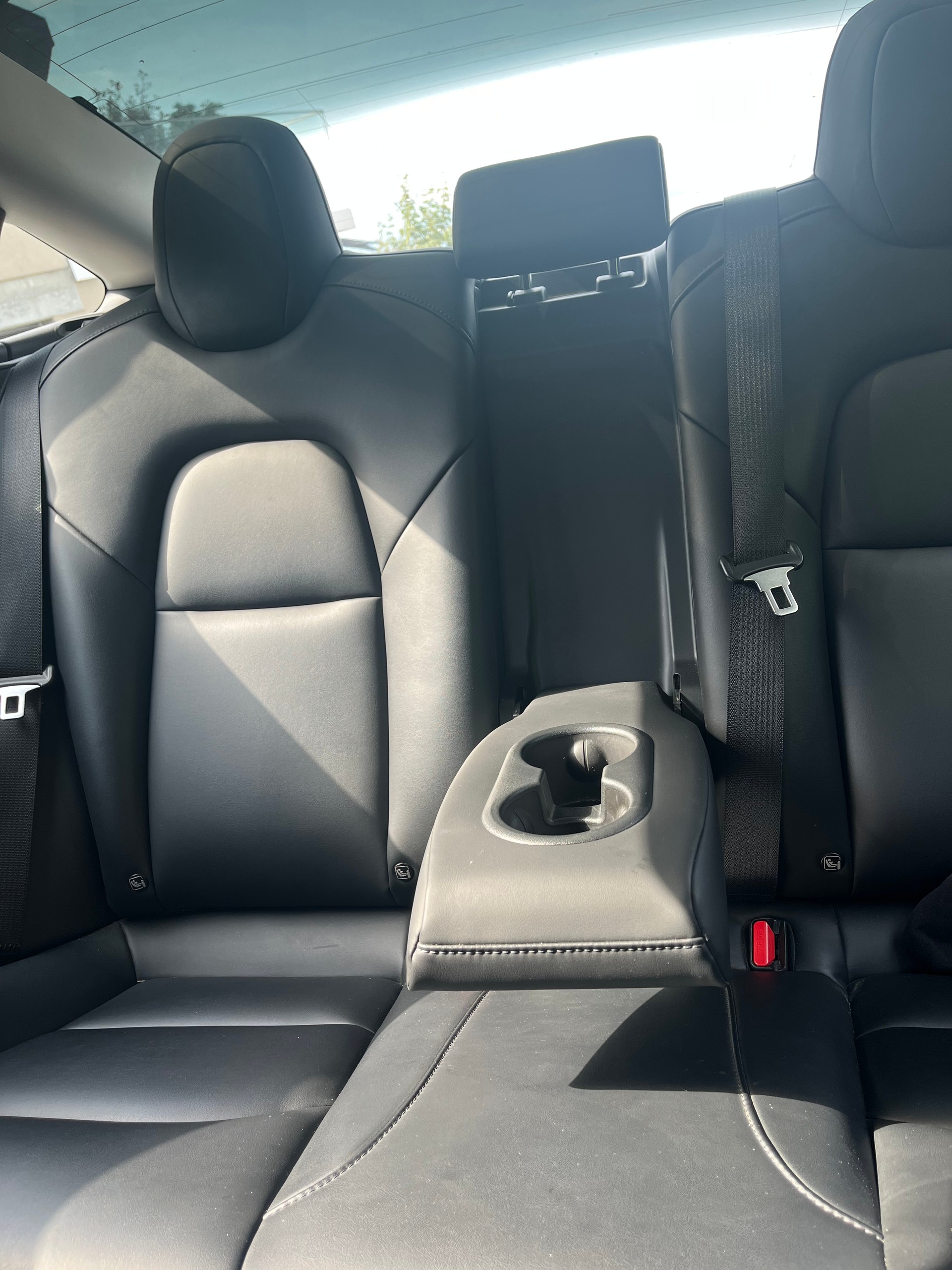 TESLA Standart Range Plus-image-5