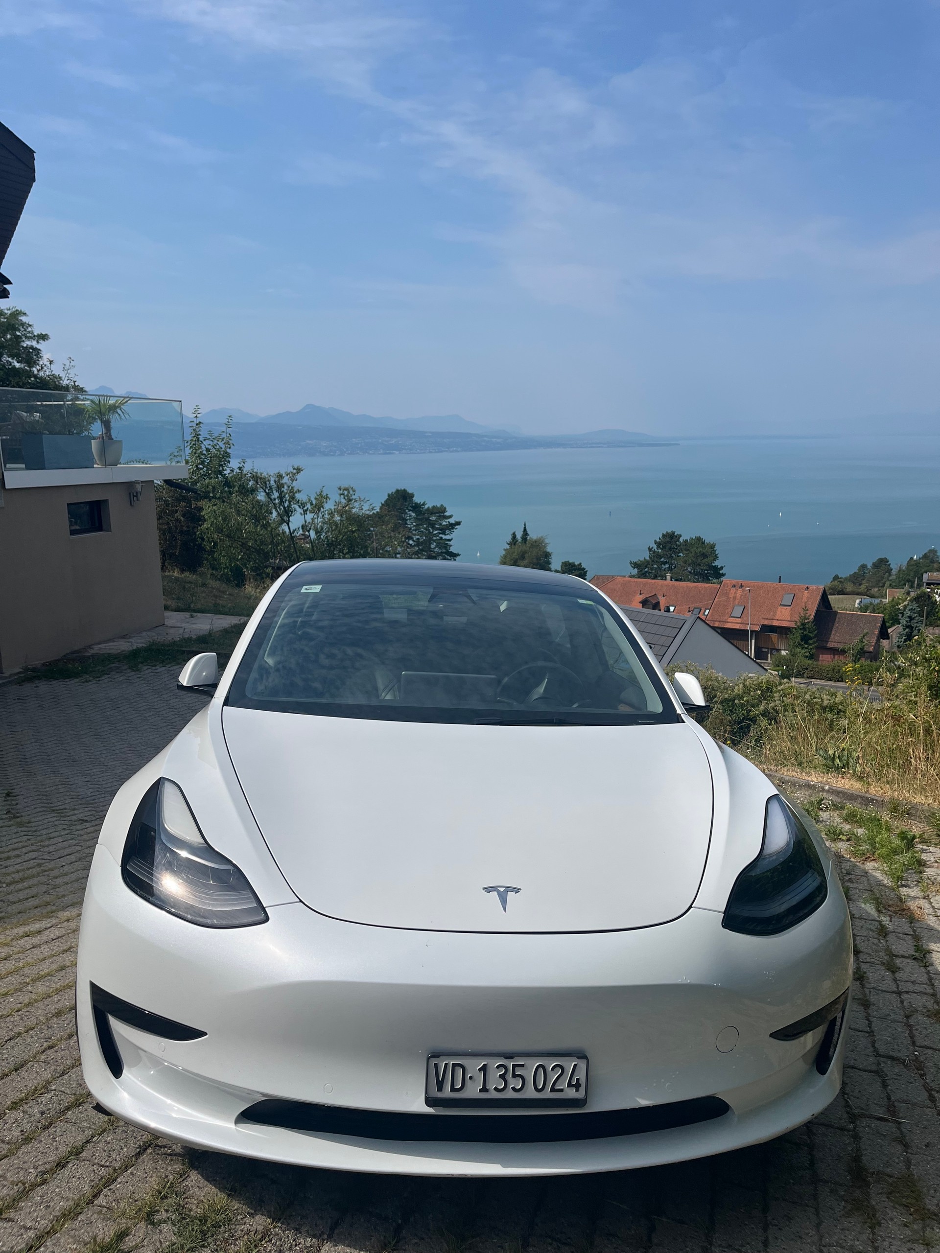 TESLA Standart Range Plus-image-1