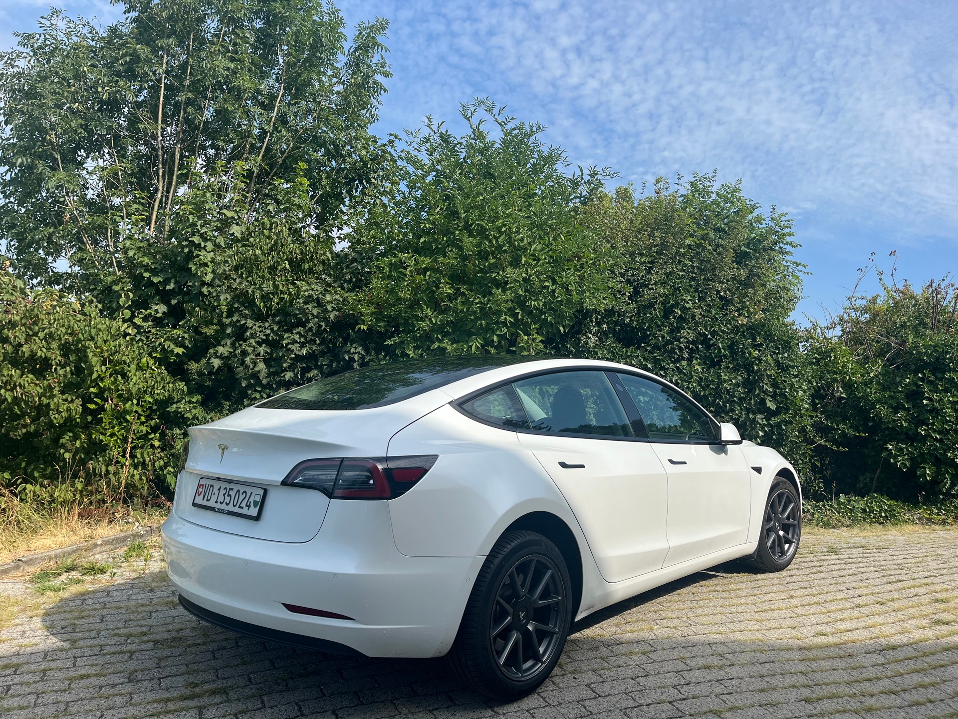 TESLA Standart Range Plus-image-2