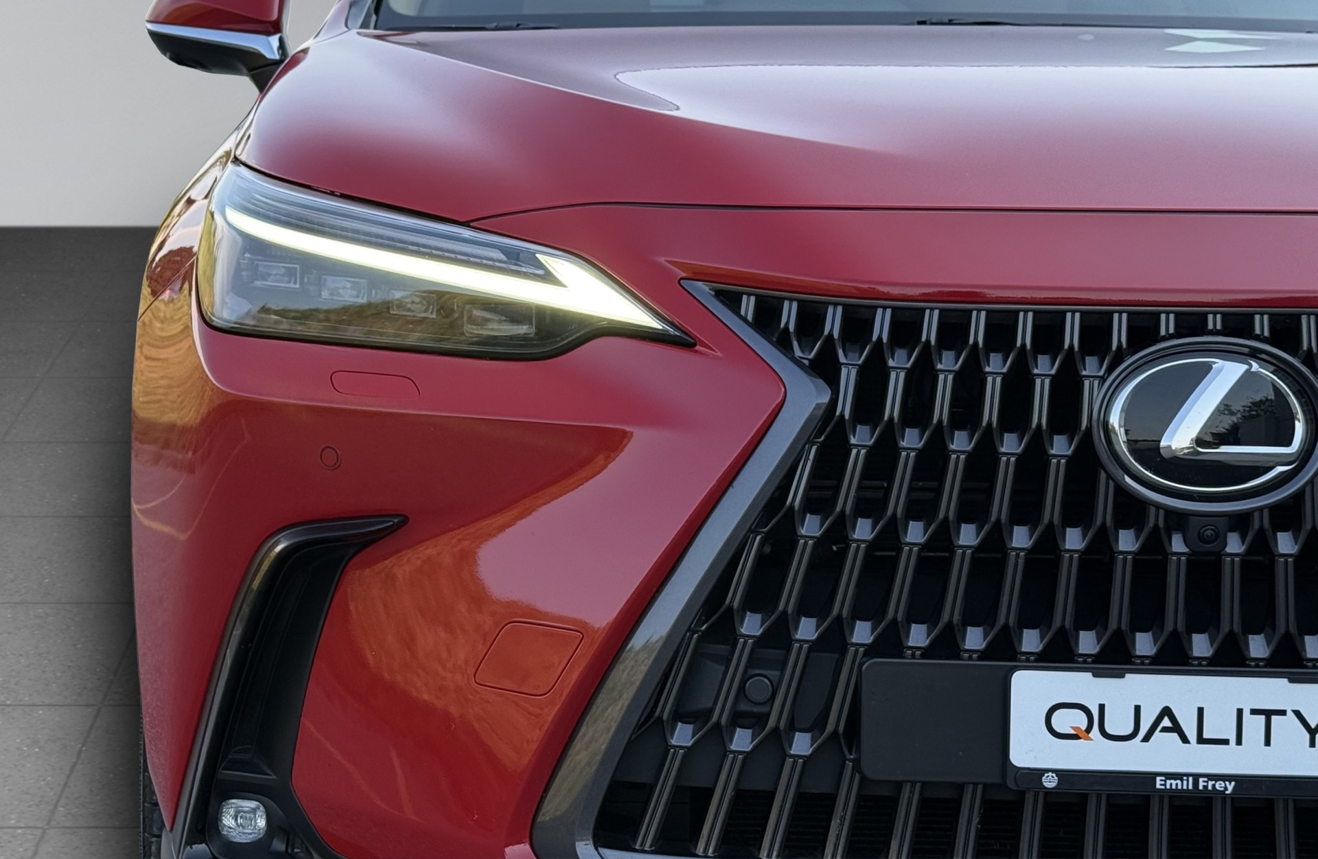 LEXUS NX 450h+ E-FOUR Excellence-image-3