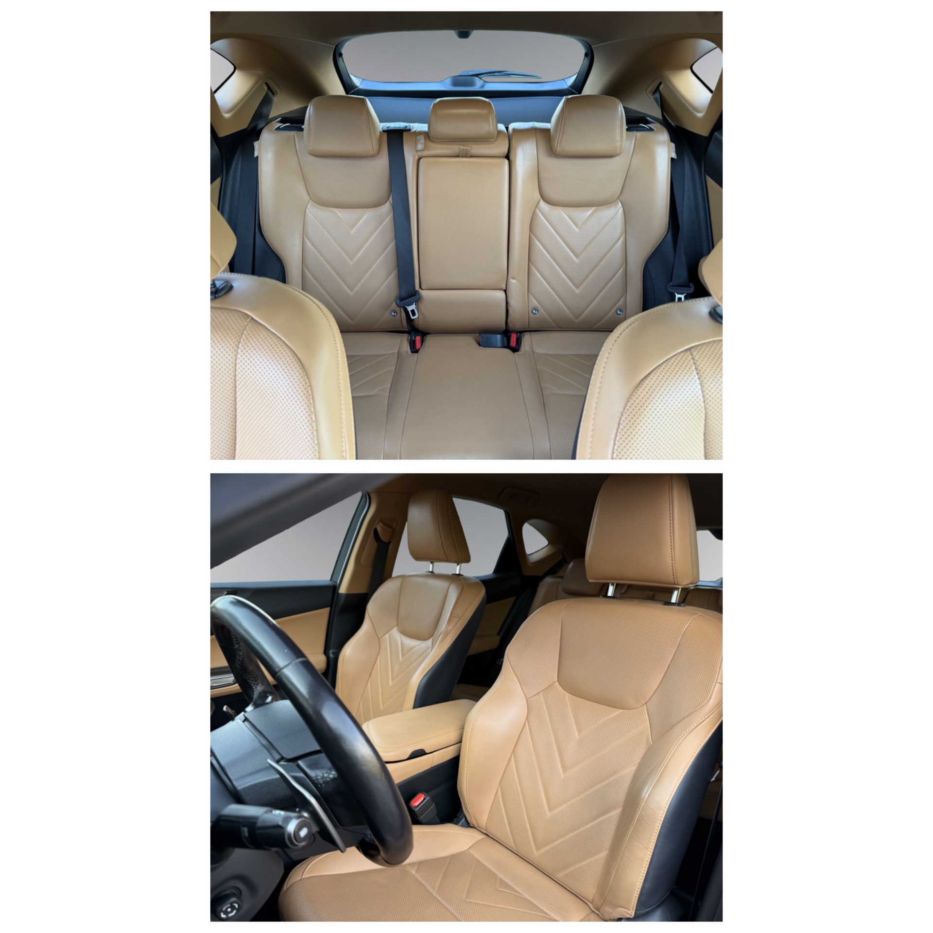LEXUS NX 450h+ E-FOUR Excellence-image-9