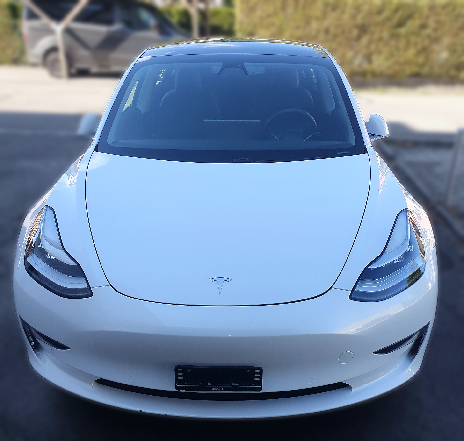 TESLA Long Range Dual Motor (AWD)-image-1