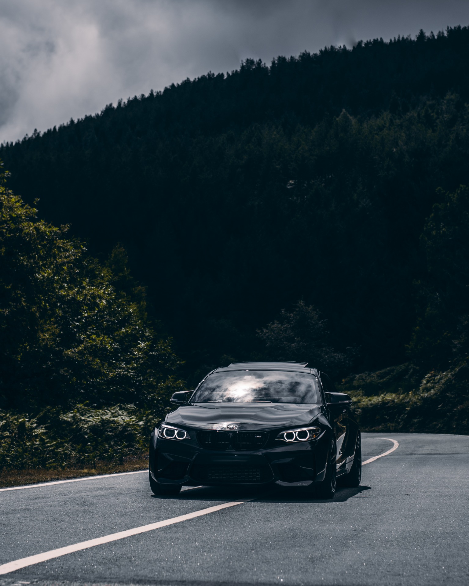 BMW M2 däHler-image-3