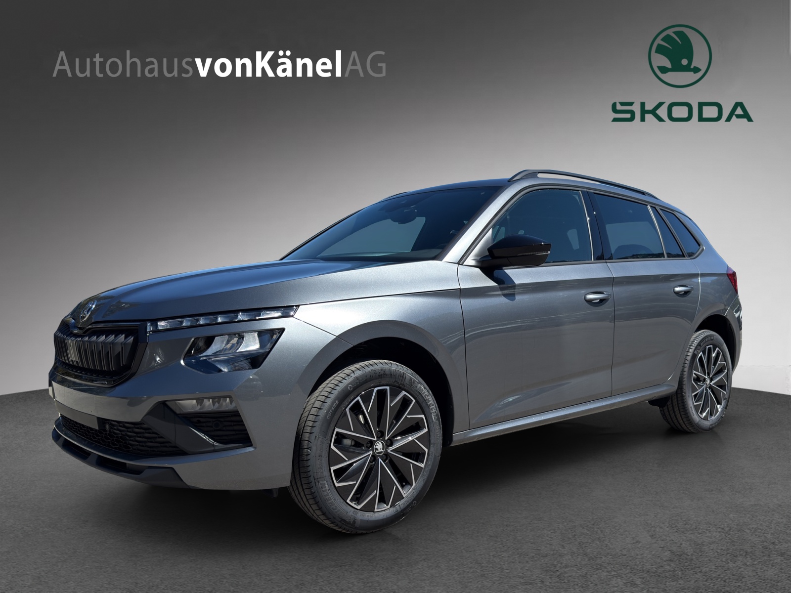 SKODA Kamiq 1.0 TSI Dynamic DSG-image-0