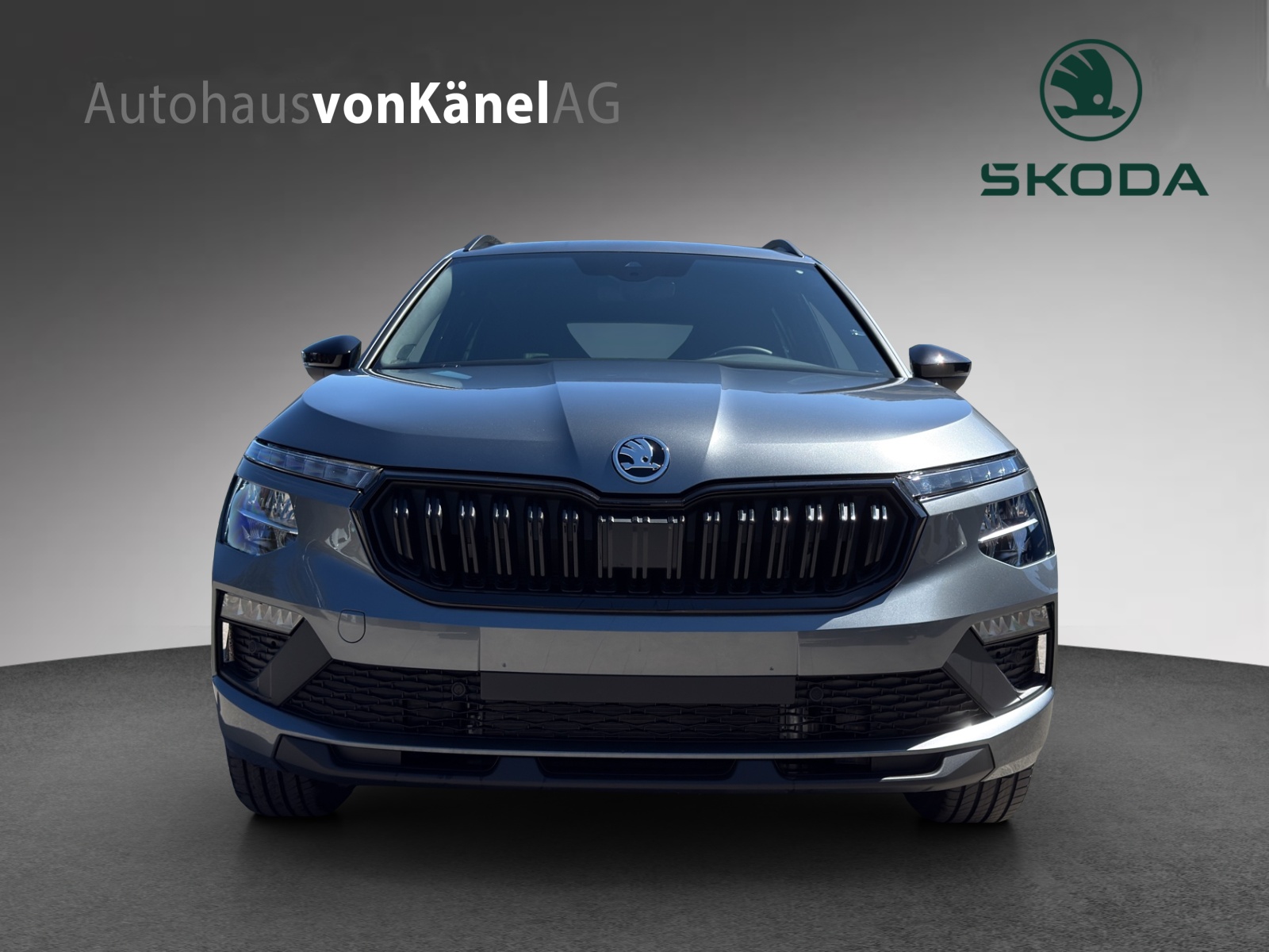 SKODA Kamiq 1.0 TSI Dynamic DSG-image-3