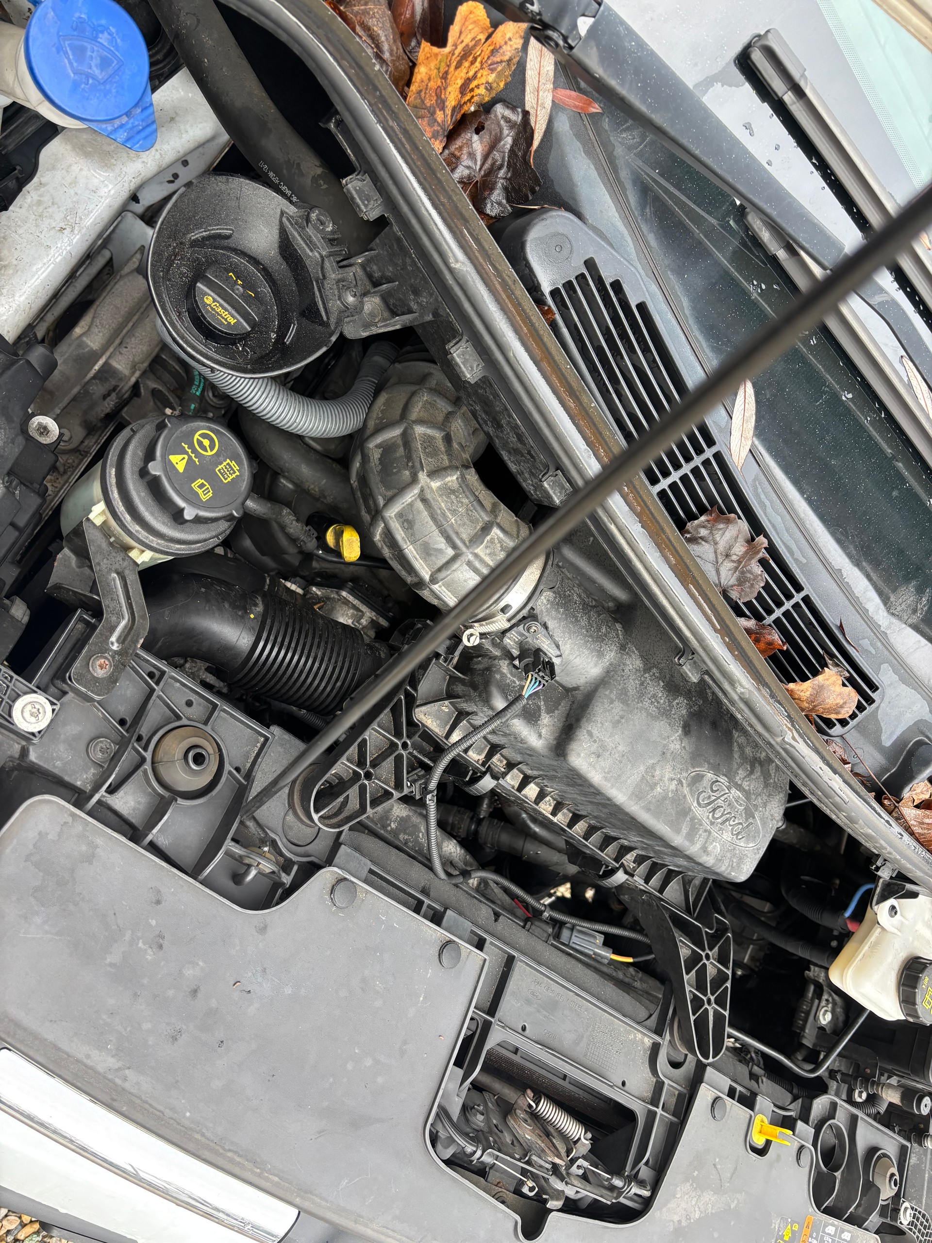 FORD Transit Custom Van 290 L1H1 Trend SelectShift A-image-14