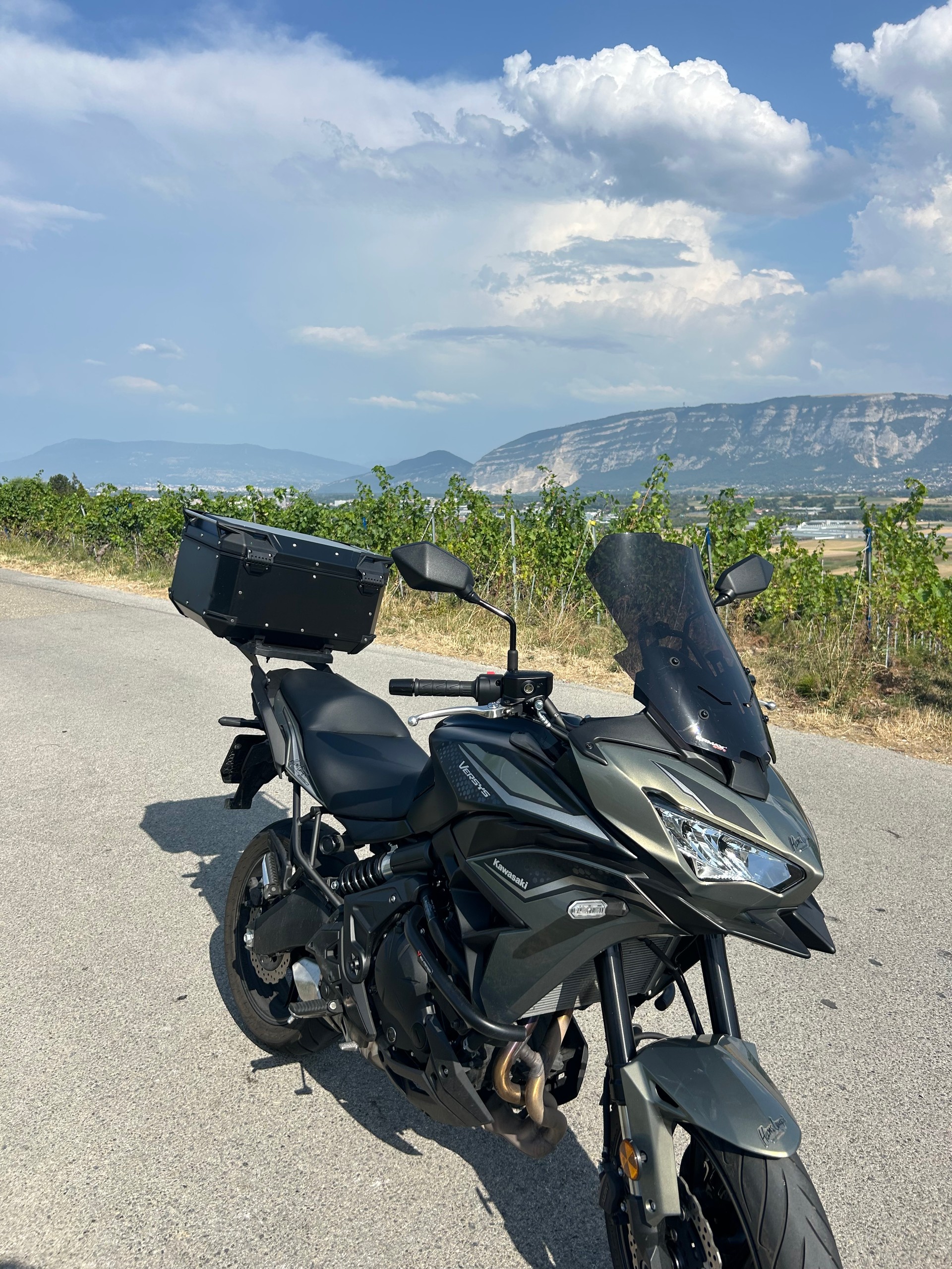 KAWASAKI Versys 650 (35kW)