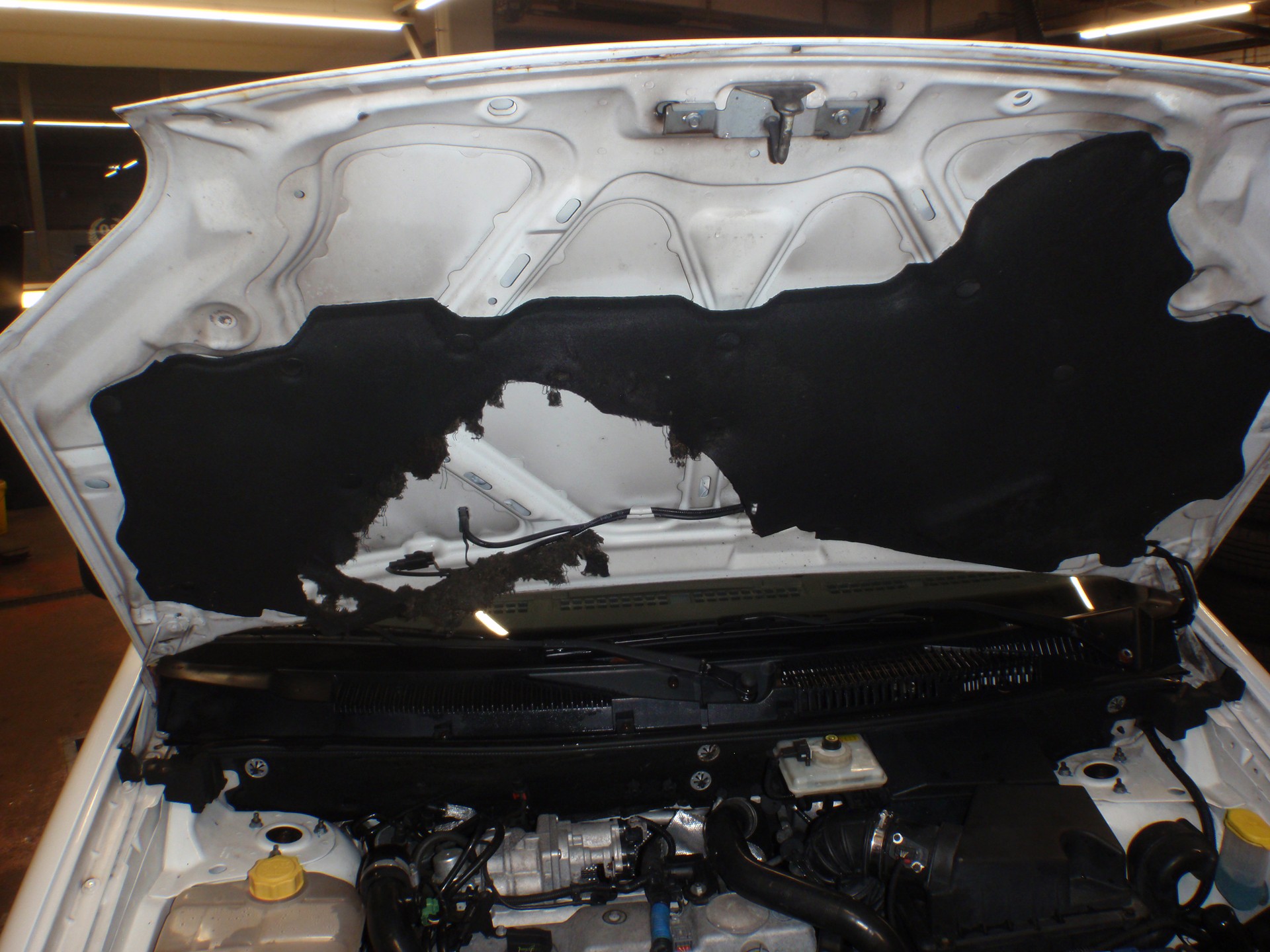 SUBARU Outback 2.5i Luxury AWD Lineartronic-image-14