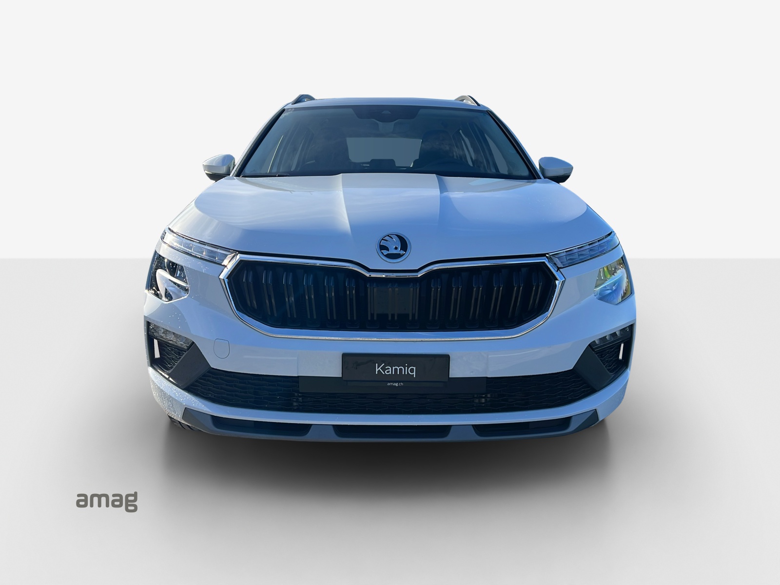 SKODA Kamiq 1.0 TSI Dynamic DSG-image-6