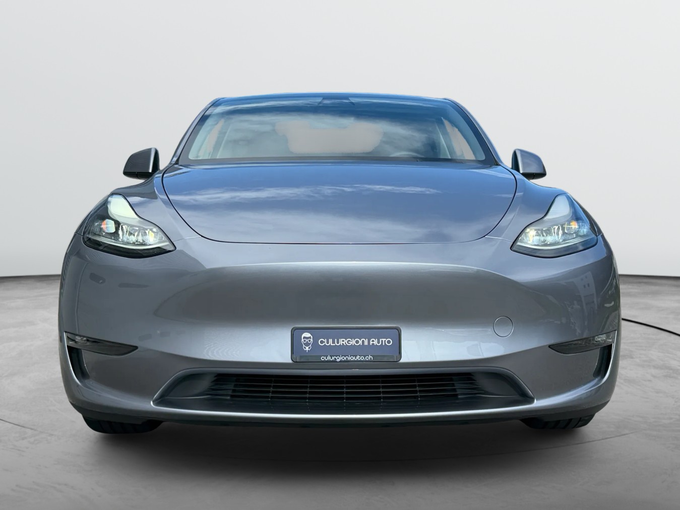 TESLA Model Y Performance-image-1