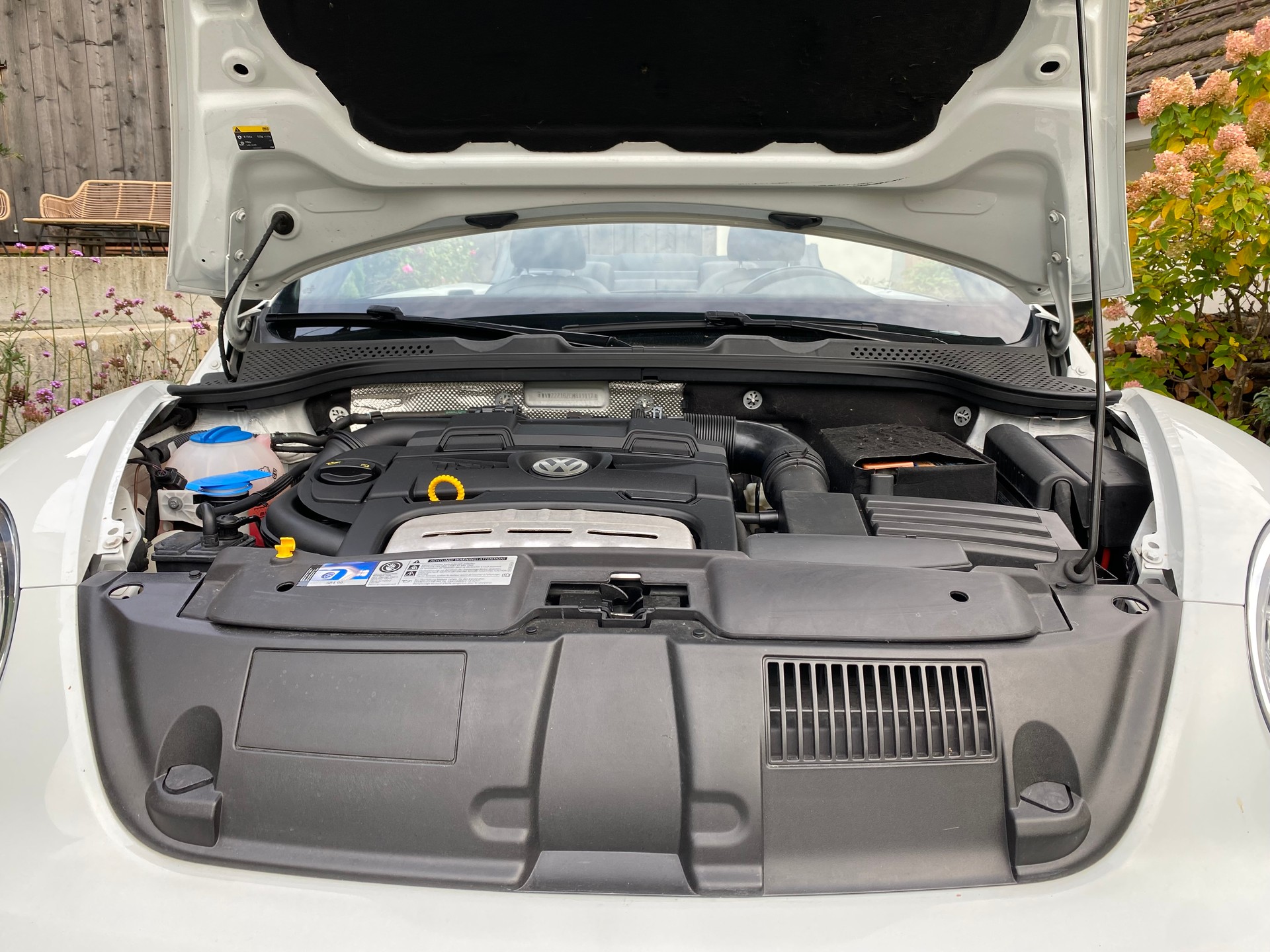 VW VW Beetle Cabrio 1.4 TSI Sport - frisch ab Service & MFK - Leder-image-17