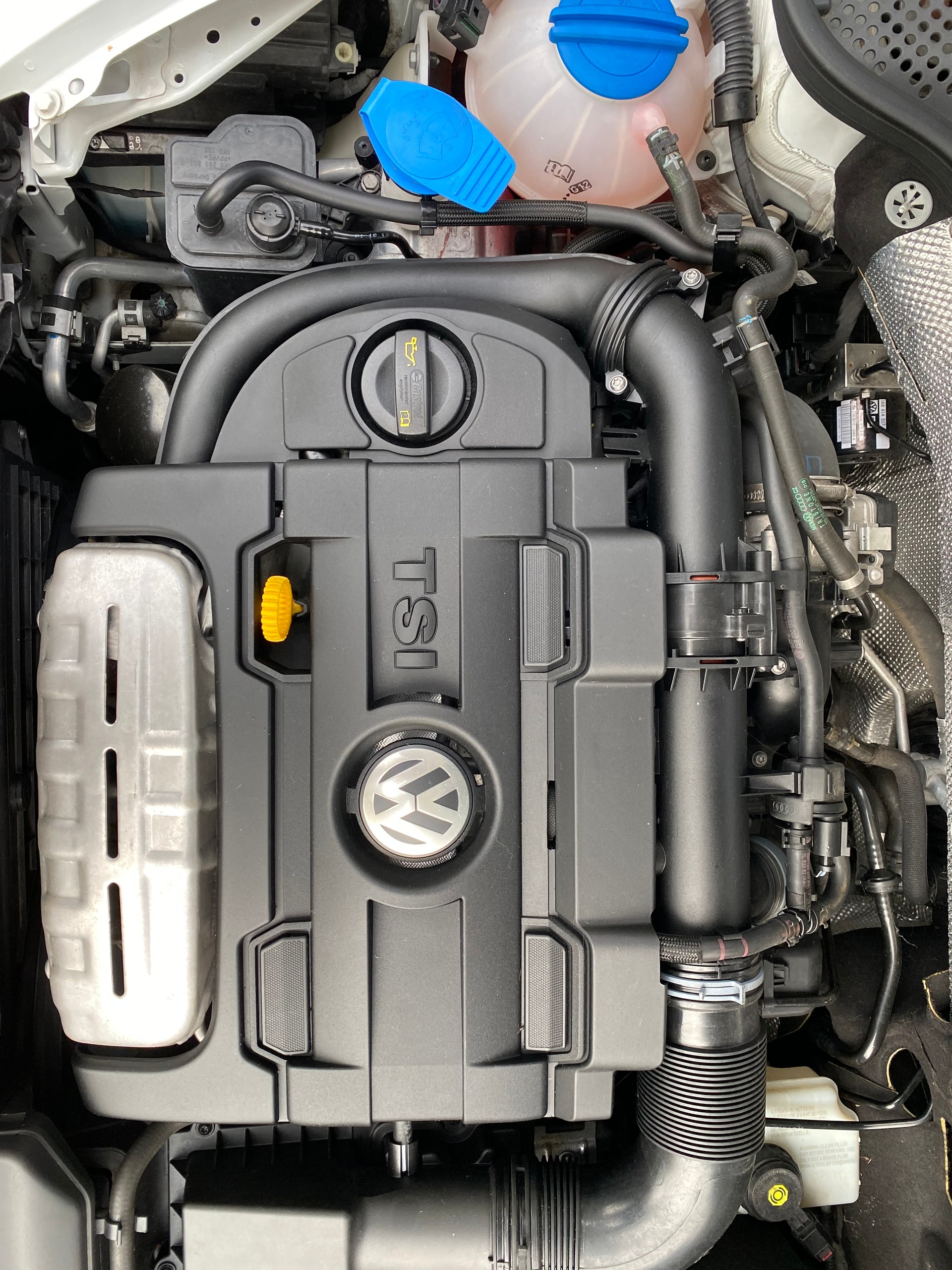 VW VW Beetle Cabrio 1.4 TSI Sport - frisch ab Service & MFK - Leder-image-18