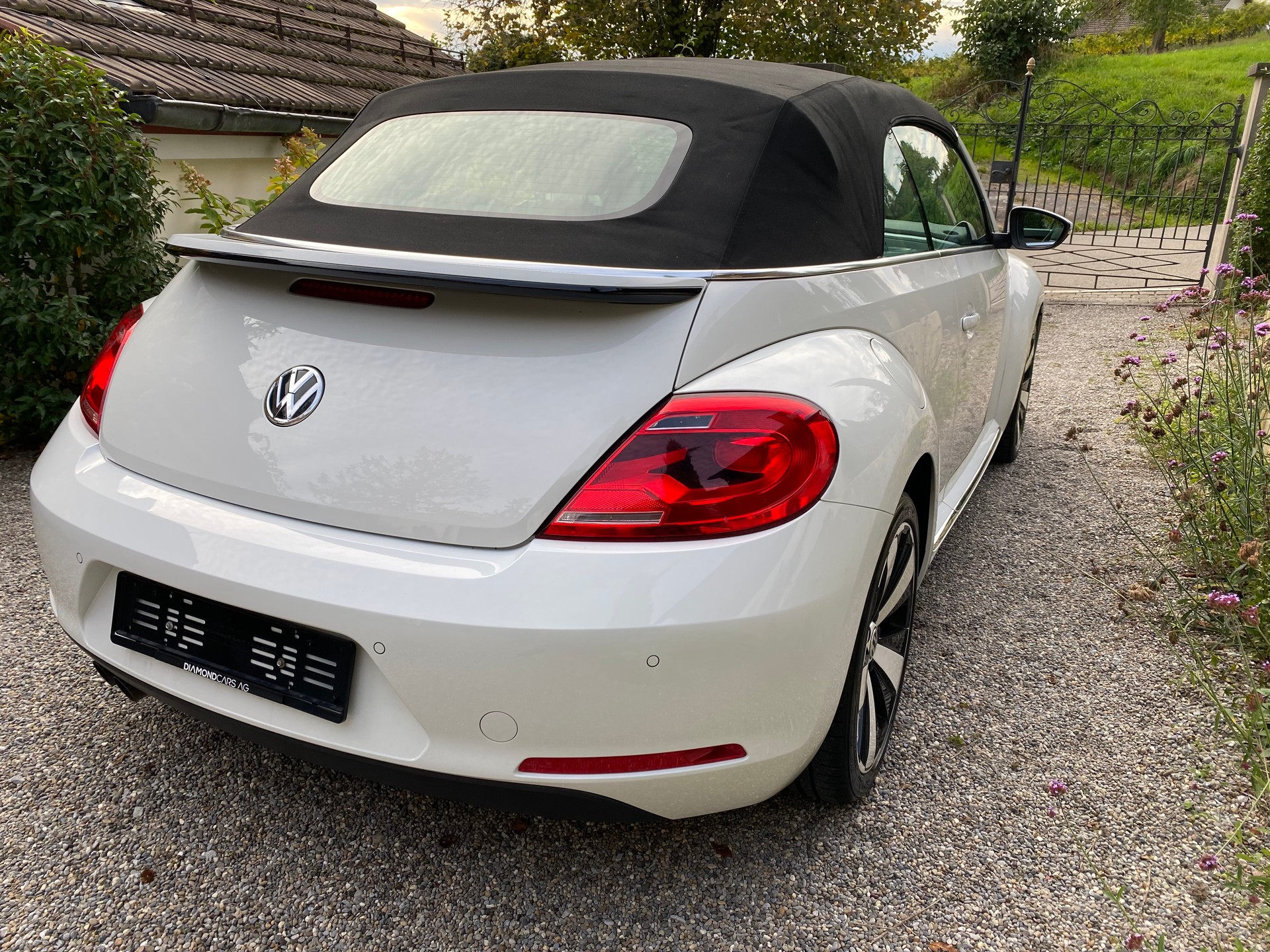 VW VW Beetle Cabrio 1.4 TSI Sport - frisch ab Service & MFK - Leder-image-12