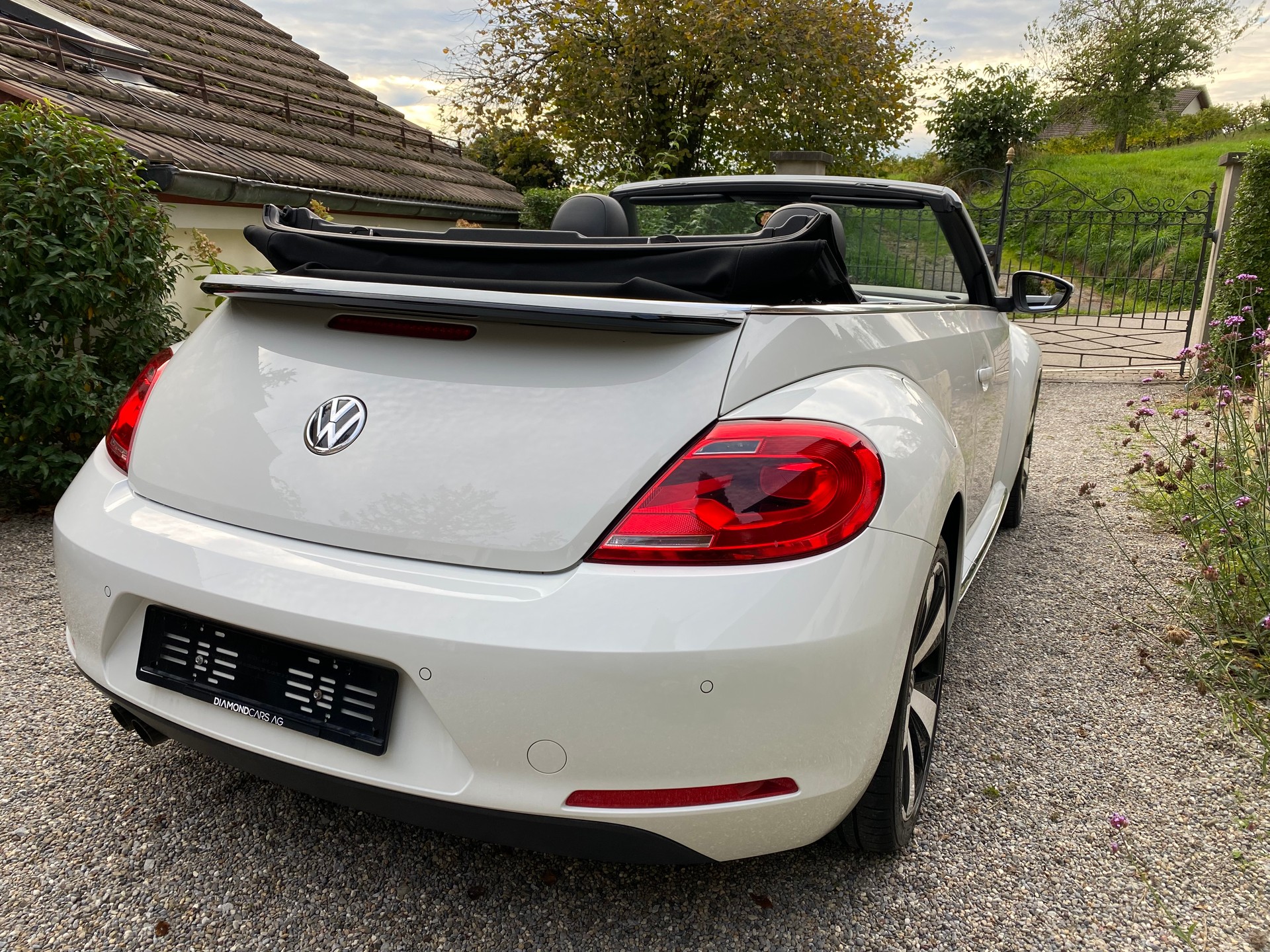 VW VW Beetle Cabrio 1.4 TSI Sport - frisch ab Service & MFK - Leder-image-3