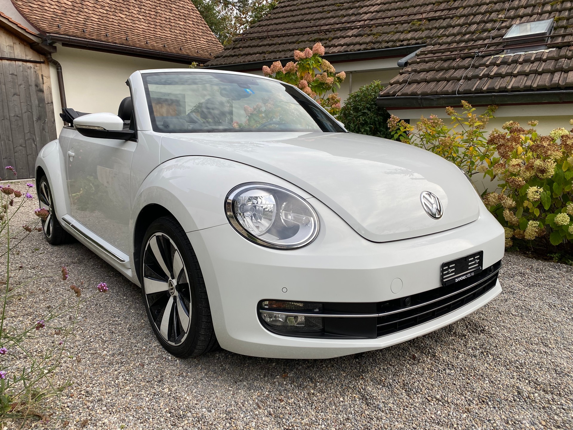 VW VW Beetle Cabrio 1.4 TSI Sport - frisch ab Service & MFK - Leder