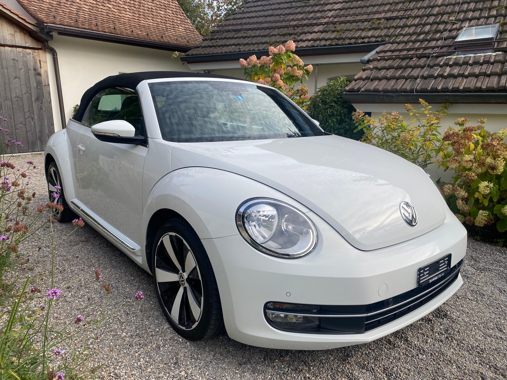 VW VW Beetle Cabrio 1.4 TSI Sport - frisch ab Service & MFK - Leder-image-9