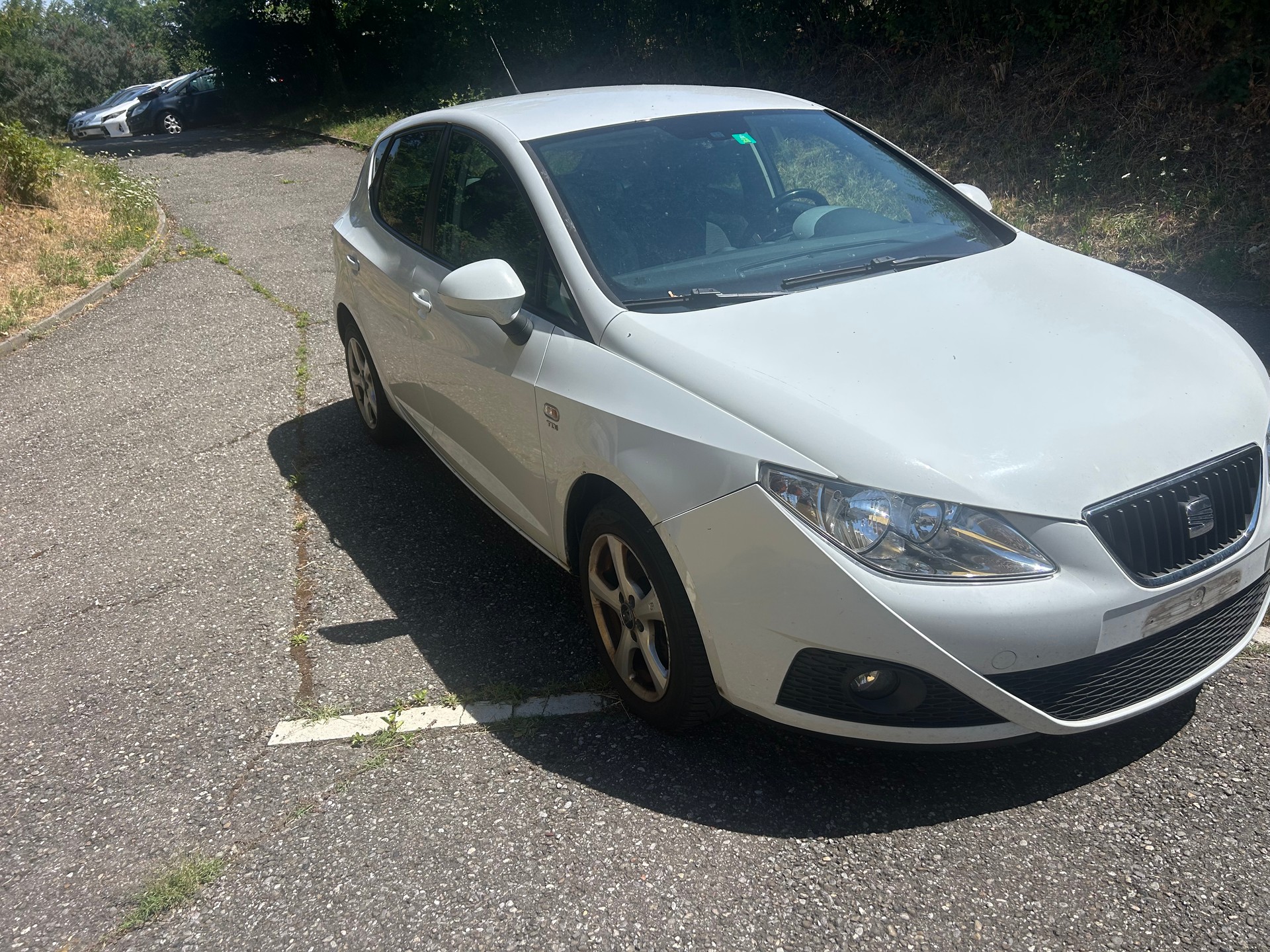 SEAT Ibiza 1.6 TDI COPA Style-image-2