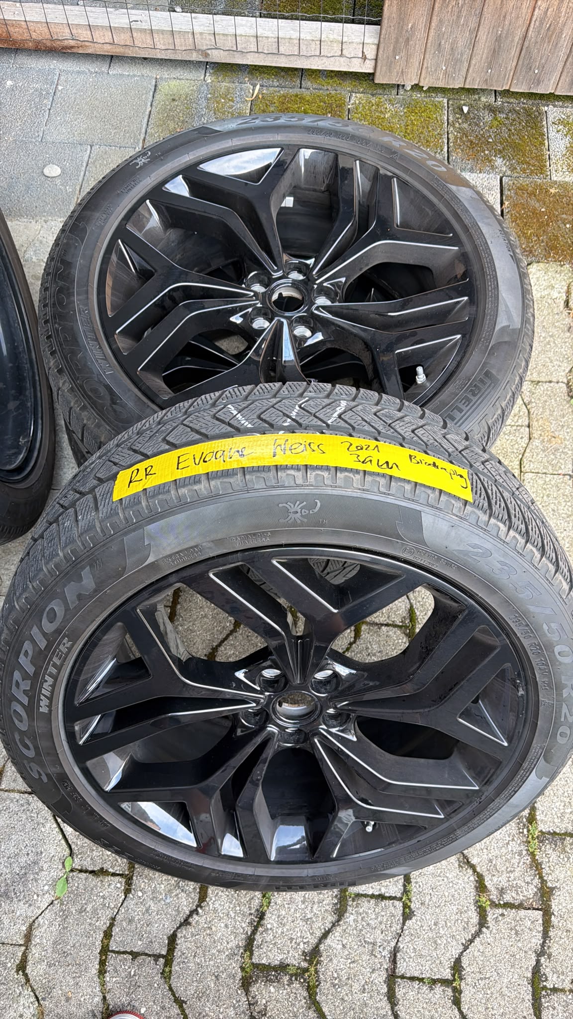 LAND ROVER Range Rover Evoque R-Dynamic P 250 AB AT9 (CH)-image-36