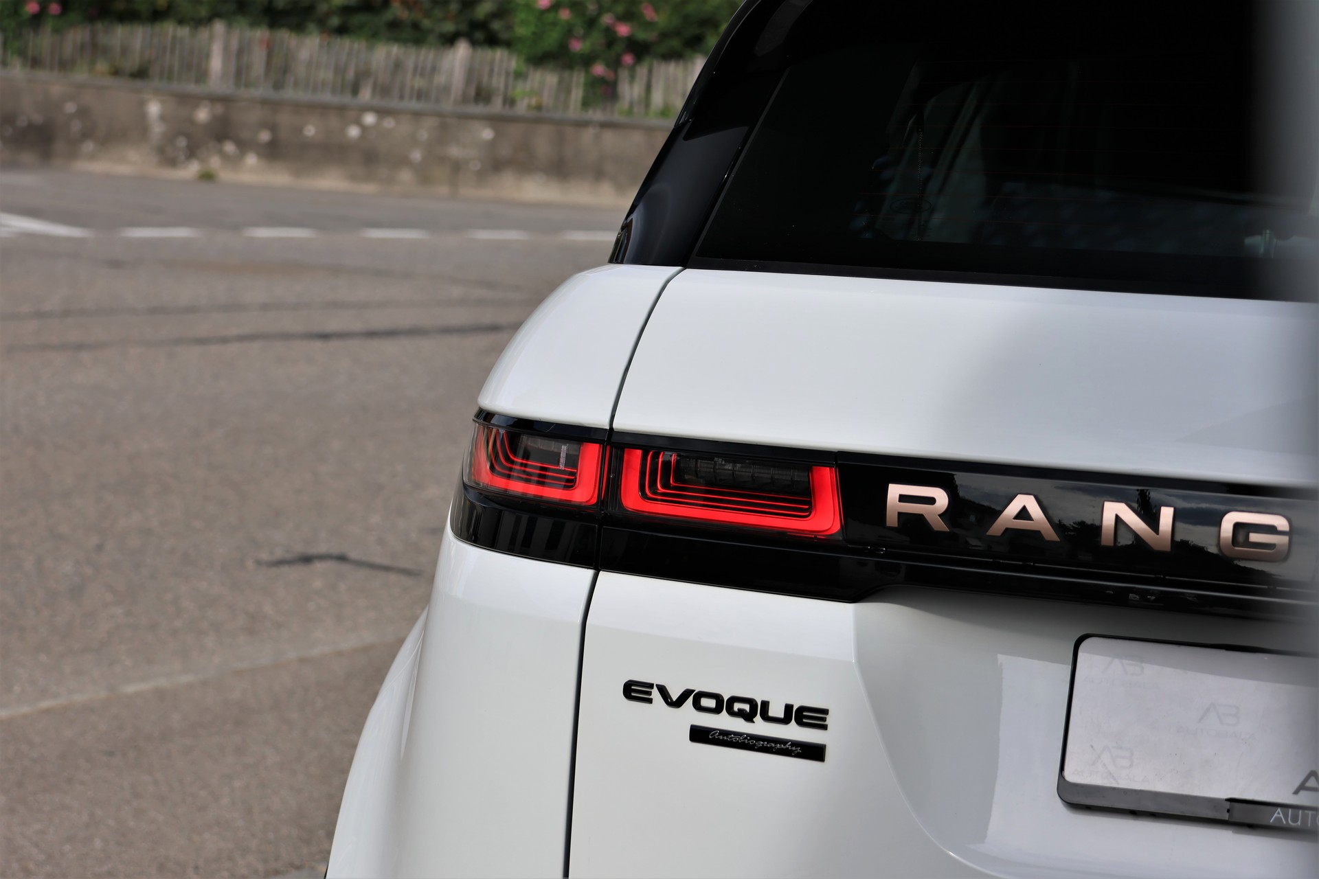 LAND ROVER Range Rover Evoque R-Dynamic P 250 AB AT9 (CH)-image-5