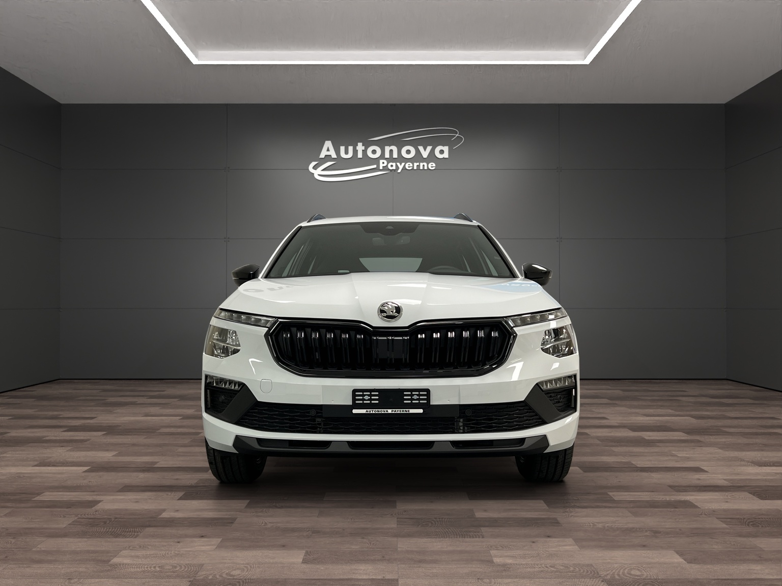 SKODA Kamiq 1.0 TSI Dynamic DSG-image-1