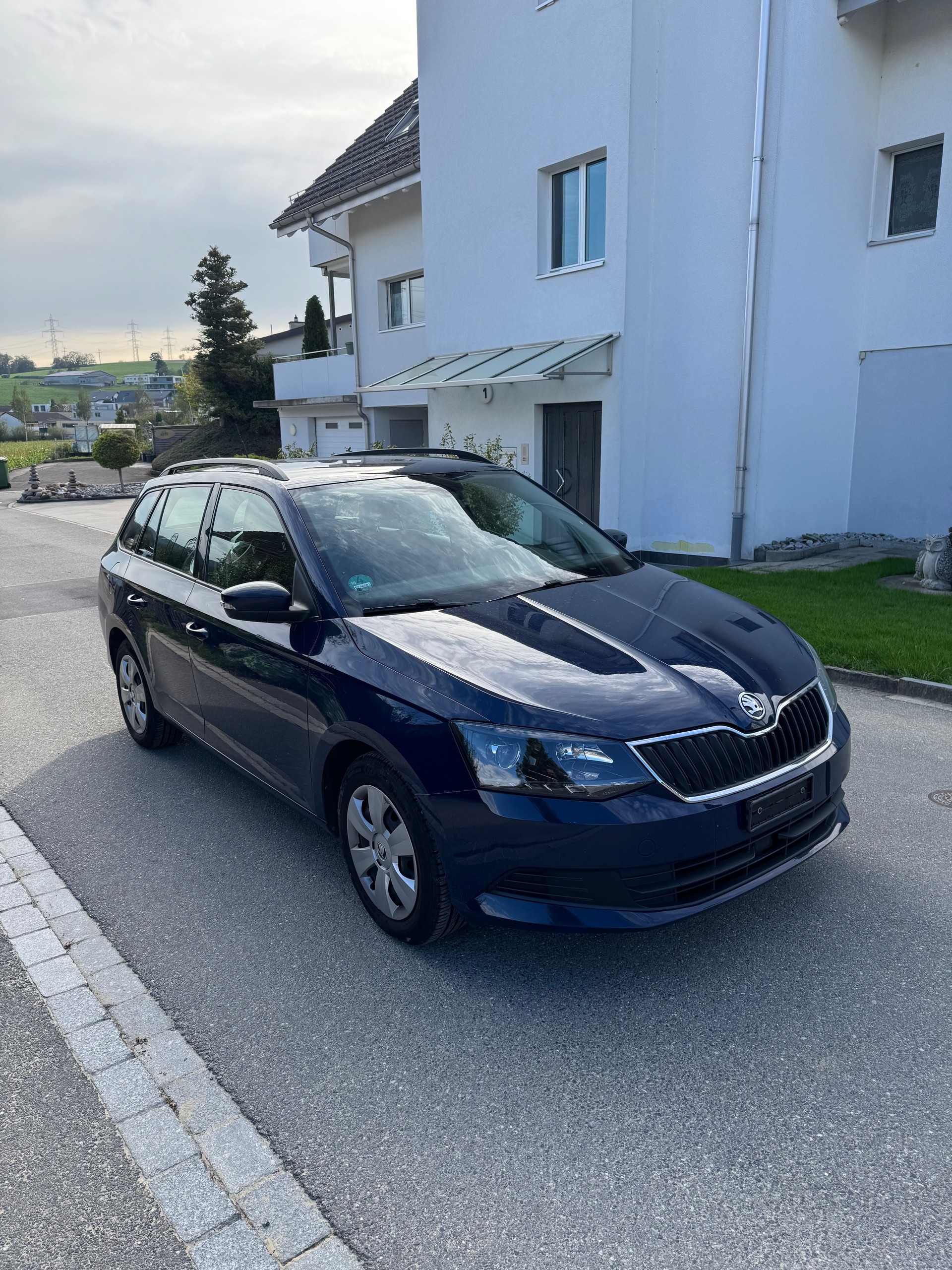 SKODA Fabia 1.2 TSI Swiss Joy DSG-image-1