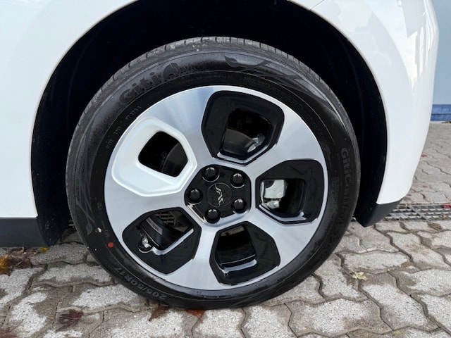 JAC E30X-image-4