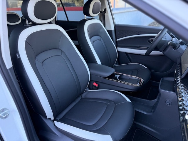 JAC E30X-image-9