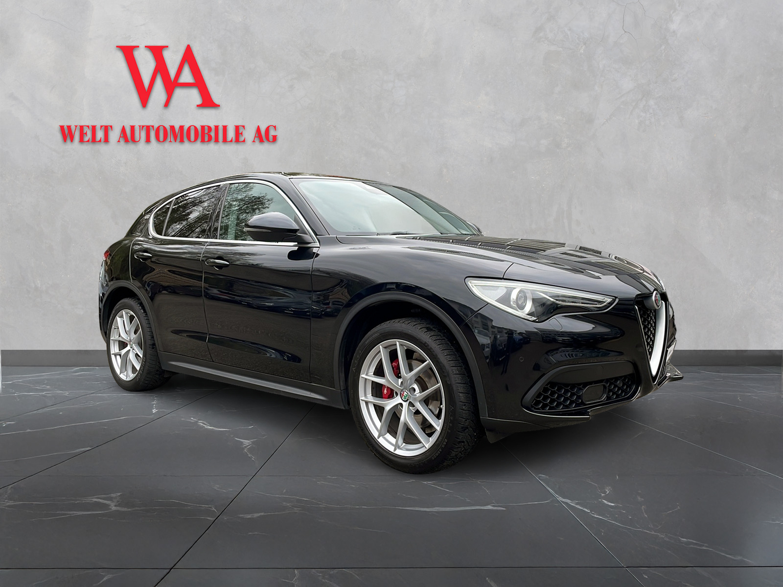 ALFA ROMEO Stelvio 2.0 First Edition Q4 Automatic-image-6