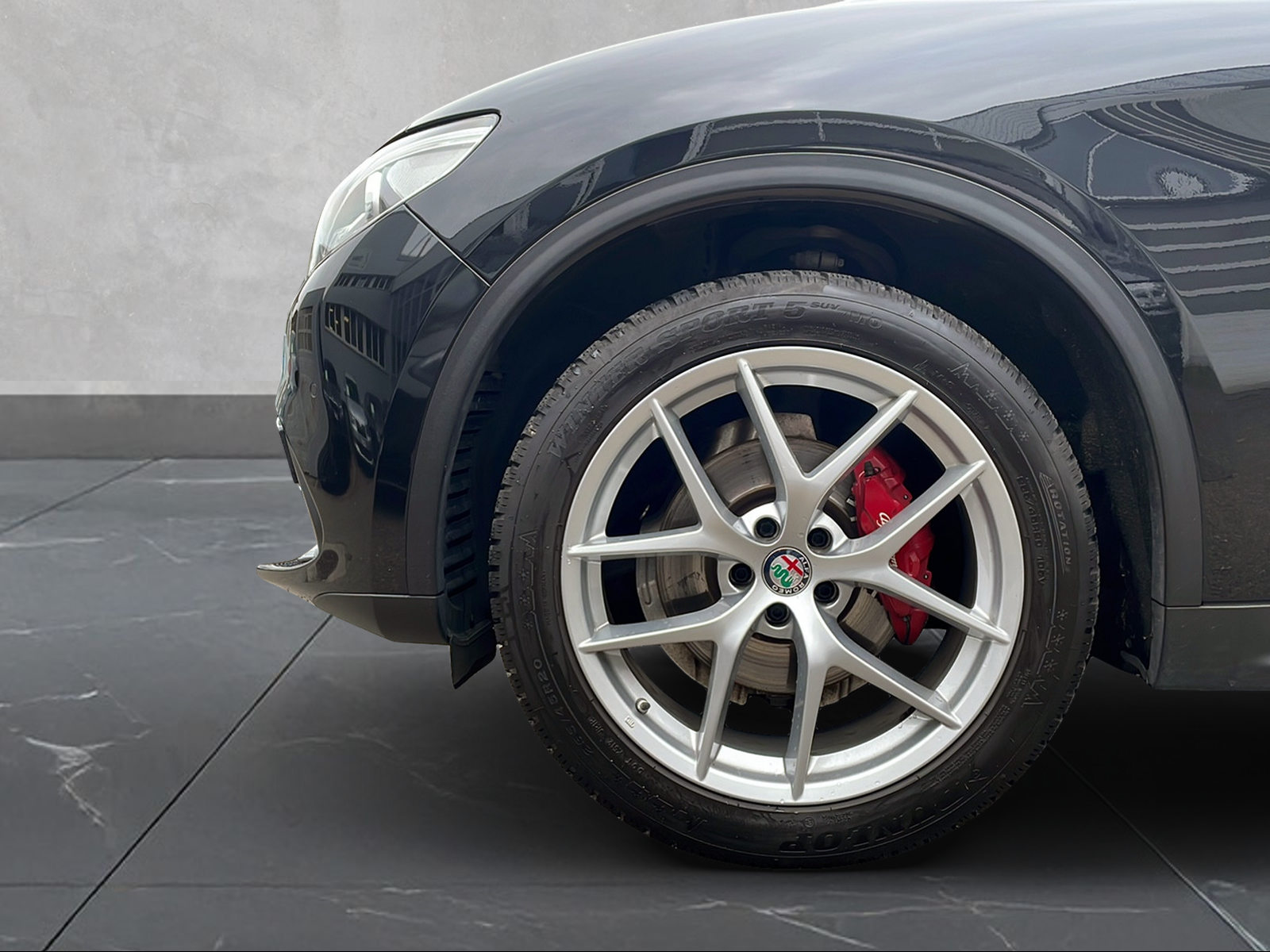ALFA ROMEO Stelvio 2.0 First Edition Q4 Automatic-image-8