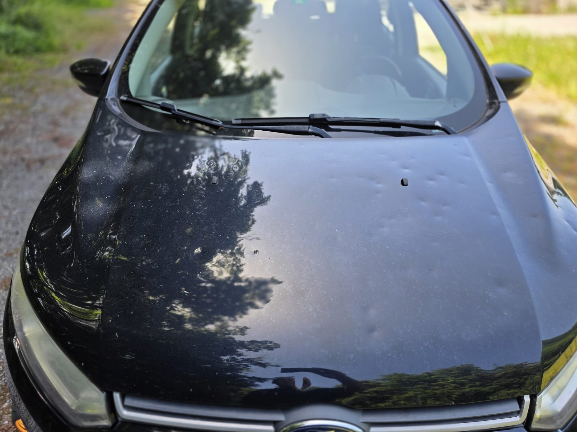 FORD EcoSport 1.0 SCTi Trend-image-12