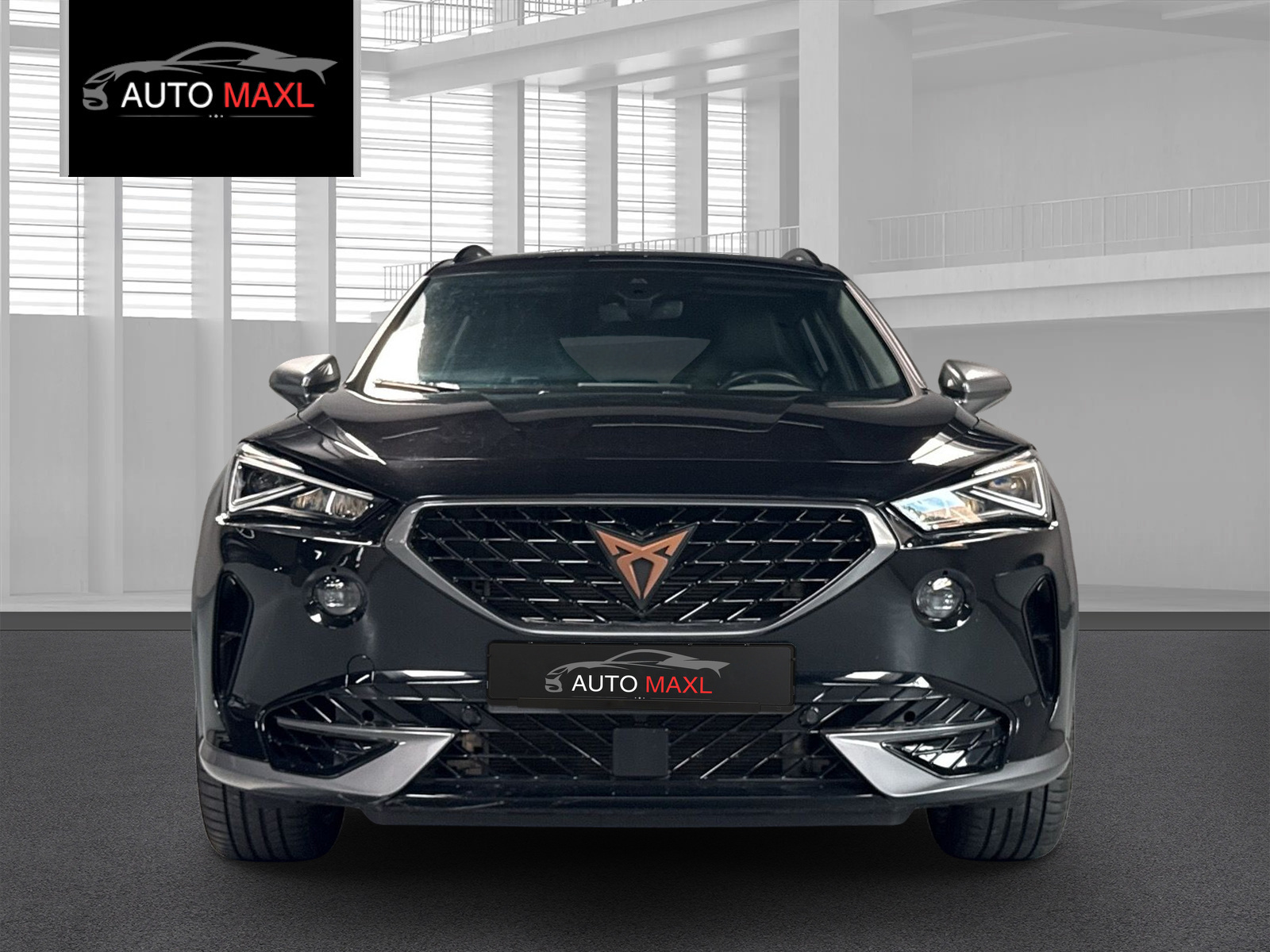 CUPRA Formentor 2.0TSI VZ 4Drive DSG-image-6