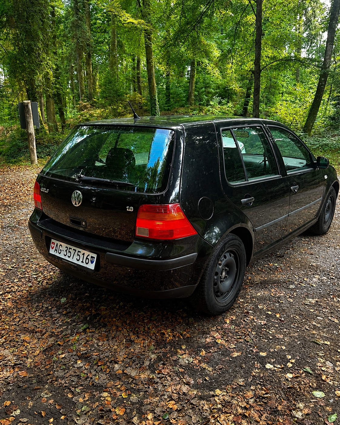 VW 1.6-image-1