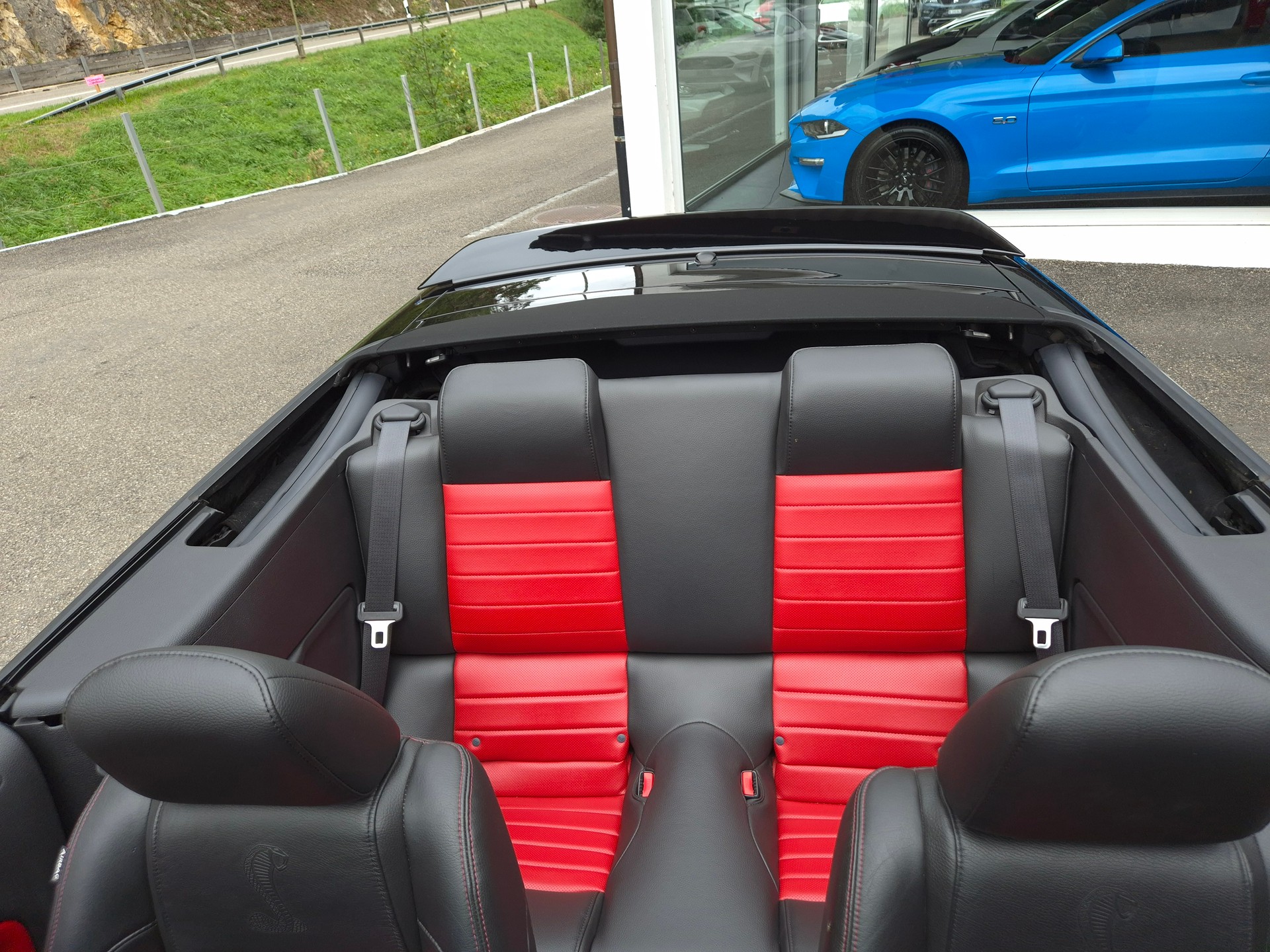 FORD Mustang Shelby GT500 SVT-image-26
