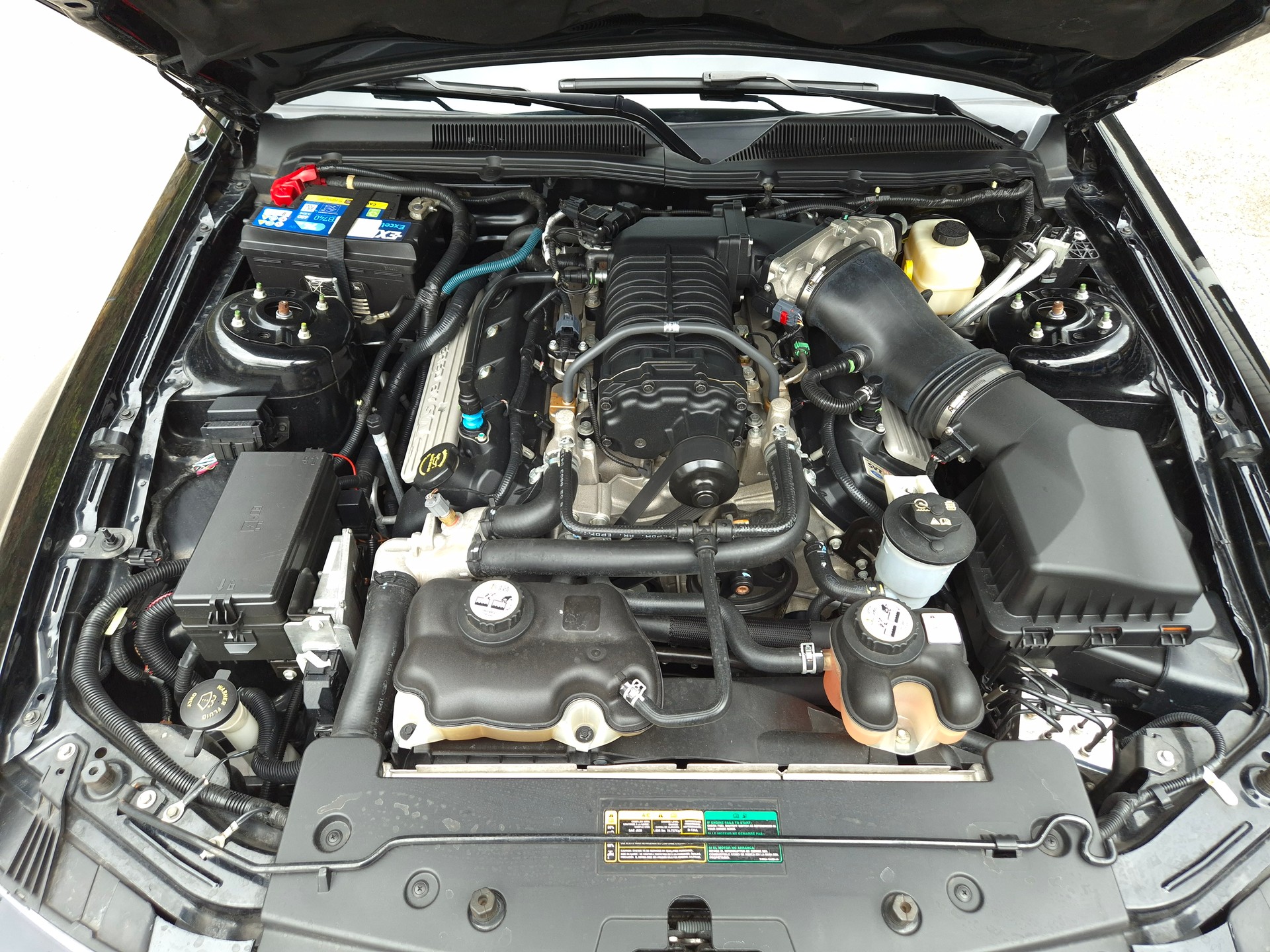 FORD Mustang Shelby GT500 SVT-image-29