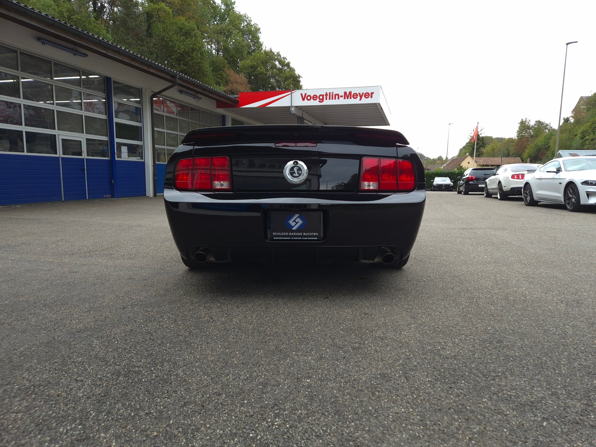 FORD Mustang Shelby GT500 SVT-image-13